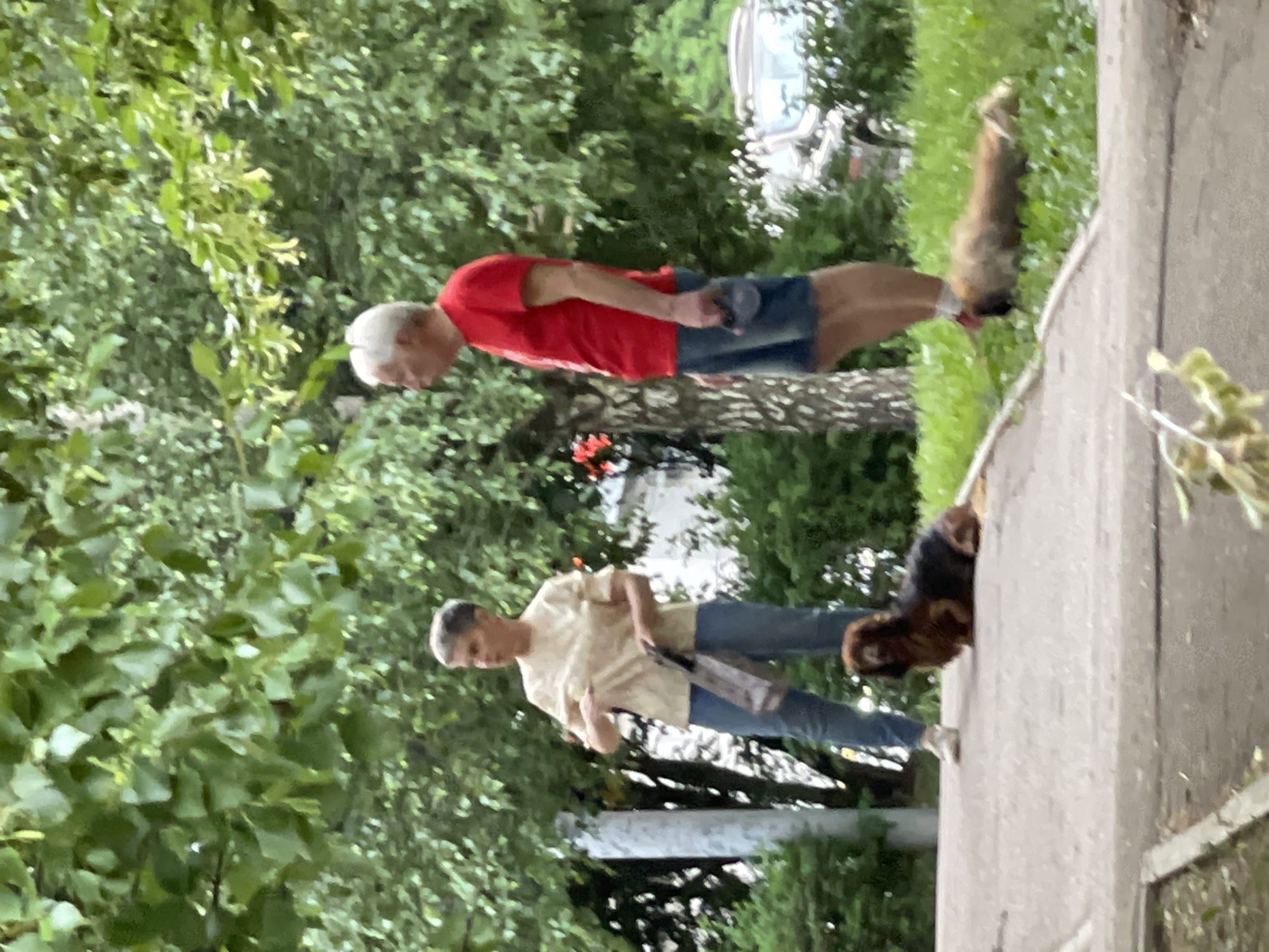 A woman and a man are standing on a paved pathway in a park-like setting with trees and grass. The woman, with short, graying hair, is wearing a light-colored blouse and blue jeans. She is holding a brown paper bag in her left hand and appears to be speaking or gesturing. A brown and black Dachshund is lying on the pathway in front of her.
The man, with short white hair, is wearing a red t-shirt and denim shorts. He is holding a black leash in his right hand. A light brown dog is lying on the grass to the right of the man, its body partially obscured by the grass. In the background, a silver car is visible through the trees and foliage. The environment suggests an outdoor urban park. The exact location in Moscow, Russia is not determinable from the image.