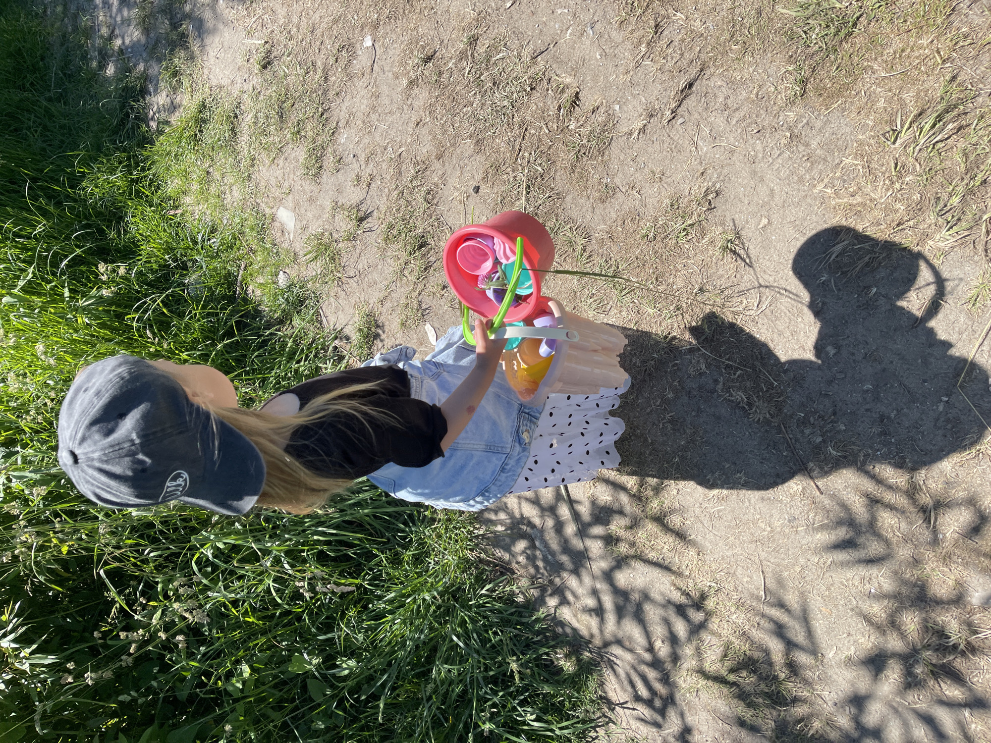 The image shows a young child from a high-angle perspective, standing in an outdoor area with grass and dirt. The child is wearing a dark baseball cap, a black t-shirt, and a light-colored denim skirt with a black polka dot pattern. They are holding a red bucket filled with colorful plastic toys, including cups and what appear to be sand molds. The toys are in shades of pink, purple, and green.
The scene is lit by bright sunlight, casting long shadows on the ground, suggesting it is daytime. The ground is a mix of dry, dusty earth and patches of green grass. The grass appears somewhat sparse in places, with dry, dead blades mixed in. There is a shadow of the child and possibly the person taking the photo on the ground.
The child's face is not visible, but their posture suggests engagement with the toys. The overall atmosphere is casual and hints at outdoor play, possibly in a park or backyard. The location context of Zelenogradsk, Russia, does not provide specific visual cues within the image itself, but implies a natural outdoor environment common to that region. No visible text is present on the child's clothing or the toys.