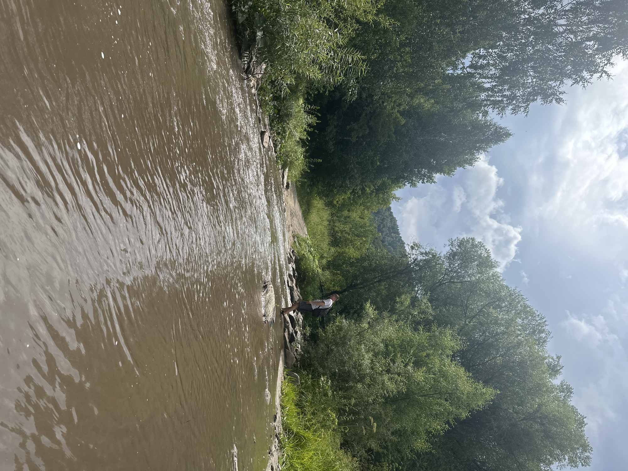The image depicts a person standing in a shallow, muddy river with trees lining the banks. The person, wearing a white t-shirt and dark shorts, is facing away from the camera, looking towards a dirt path on the far bank. They appear to be navigating the river by stepping on rocks. The river is murky and shows ripples from the current. Lush green trees and vegetation surround the river, with a dirt road visible in the background, leading uphill. The sky is partially cloudy. The scene is natural and appears to be in a rural or forested area, potentially in or near Даниловка (алтайский), Russia, given the context provided.