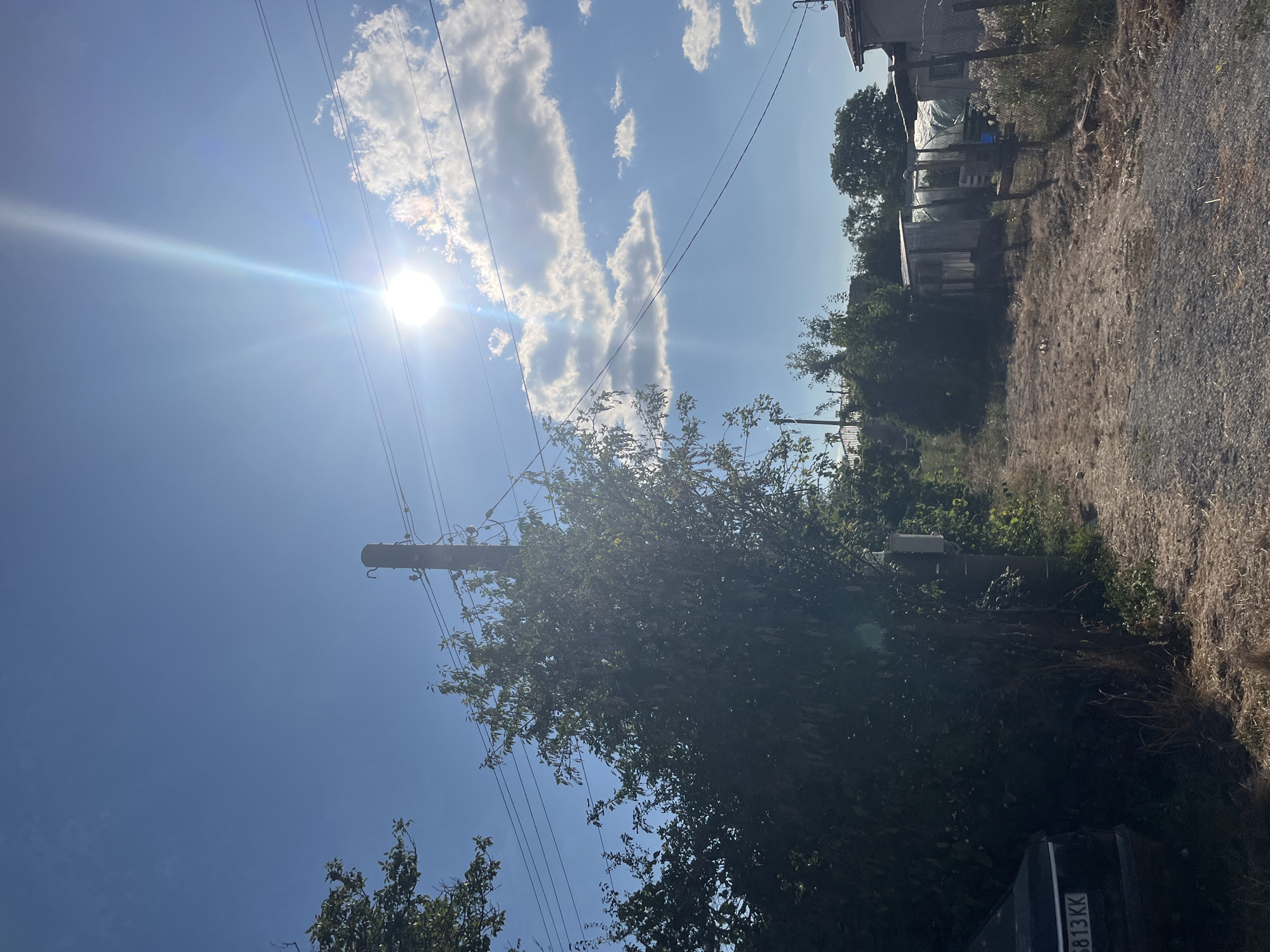 A dirt path leads into a rural setting under a bright, sunny sky with scattered white clouds. A tall utility pole with wires runs vertically on the left side of the path. Lush green trees and foliage border the path, with a dark-colored car parked on the left. On the right, several simple structures, possibly sheds or small outbuildings, are visible, some with corrugated metal roofs. The overall environment suggests a semi-developed or agricultural area. The image was taken in the city of Targovishte, Bulgaria.