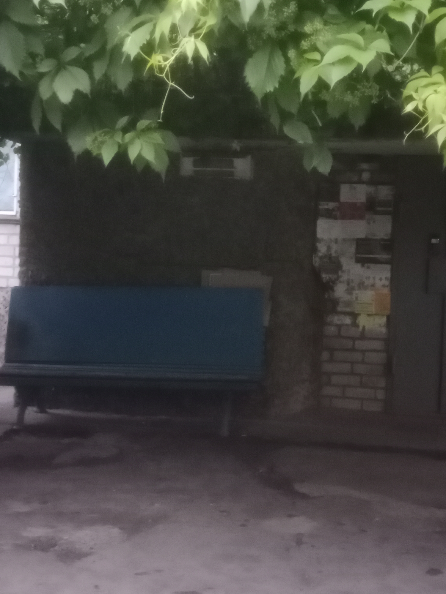In Horishni Plavni, Ukraine, in front of a building with a dark, rough facade, a long, dark blue bench is situated on a paved area. Above the building, lush green foliage hangs down, obscuring a portion of the structure. The building features a doorway to the right, with remnants of posters and peeling paint on the wall beside it. The paved ground in front of the bench appears worn and somewhat uneven, with some darker patches that could indicate moisture or dirt. The overall scene suggests an outdoor public space, possibly a courtyard or area adjacent to a residential or commercial building.