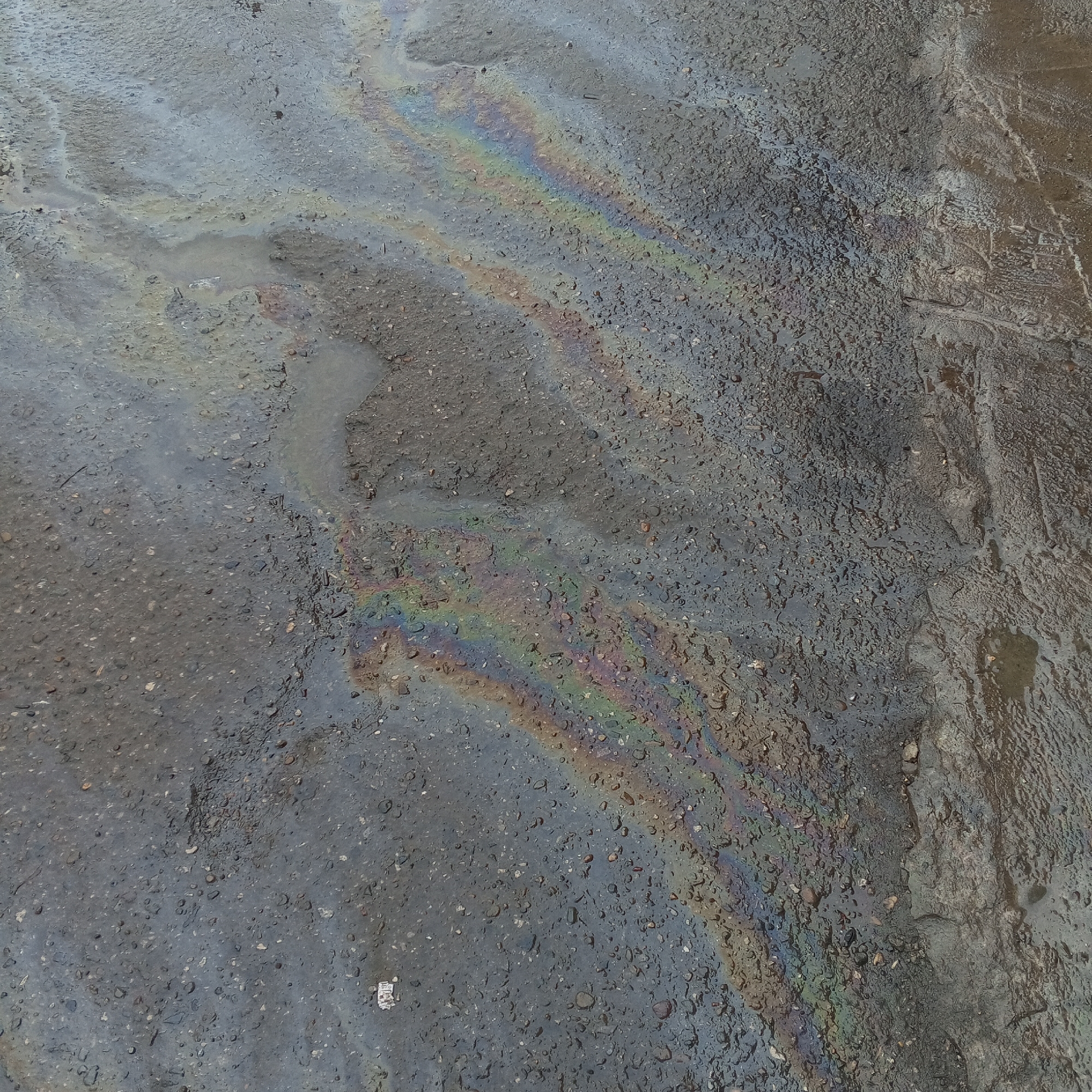 The image shows a wet asphalt surface with a visible oil sheen, creating a rainbow iridescence pattern. The asphalt appears rough and textured, with small pebbles and debris embedded in the surface. There are also some small puddles of water. Based on visual analysis, the location cannot be confidently determined as Chaikovsky, Russia. No people, subjects, objects, actions, or interactions are observed other than the asphalt surface, oily water, and debris.