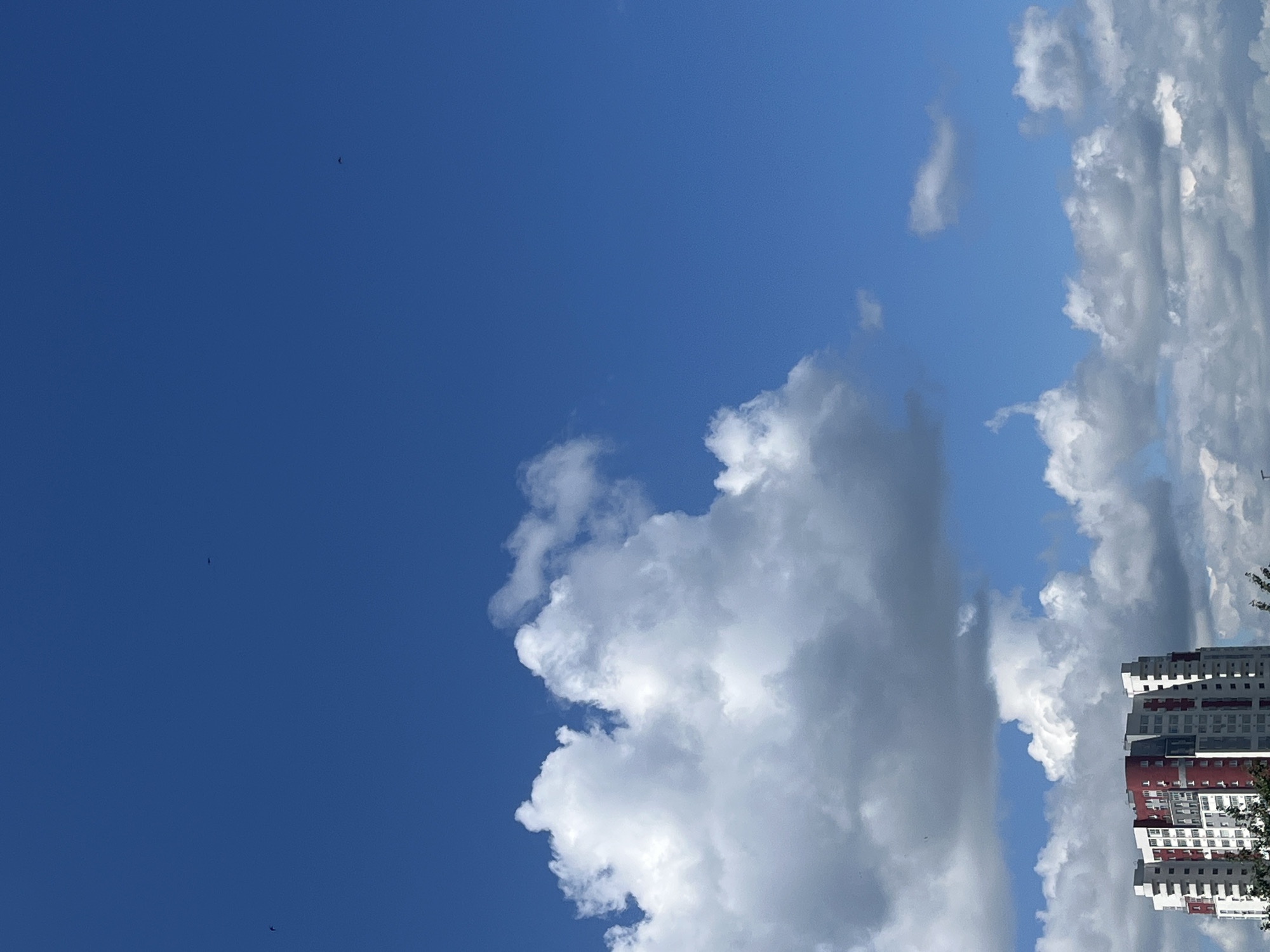 A multi-story residential building with a red and white facade is visible in the lower left portion of the frame, partially obscured by tree foliage. Above the building, a large, fluffy white cloud dominates the sky, with smaller clouds scattered throughout the clear blue expanse. Several small, dark specks, potentially birds, are visible against the sky. The scene appears to be an outdoor urban environment, likely Chelyabinsk, Russia, on a bright, partly cloudy day.