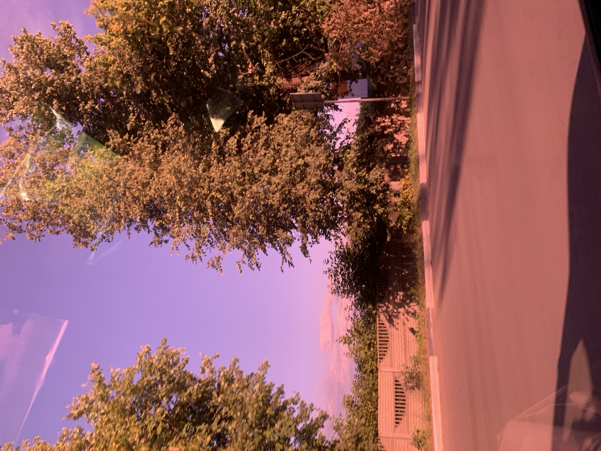 The image, taken from a moving vehicle likely in Pavlovo, Russia, depicts a street scene with trees lining the road. The perspective is tilted, suggesting the photo was taken looking upwards and sideways through a window. Large deciduous trees with full green foliage dominate the left and upper portions of the frame, their branches reaching towards a soft purple sky. Sunlight filters through the leaves, creating a warm, dappled effect that gives the entire scene a golden-pink hue, possibly due to tinted glass or the time of day.
On the right side of the image, a paved road runs parallel to a wooden fence with decorative arched sections. The road surface appears smooth and is casting shadows from the trees. The fence suggests a residential or garden area adjacent to the street. A traffic sign is partially visible among the trees, indicating a street or intersection. The overall atmosphere is serene and natural, bathed in a warm, diffused light that suggests it might be late afternoon or early evening. No people are visible in the frame, and the focus is on the interplay of light, foliage, and urban elements.
