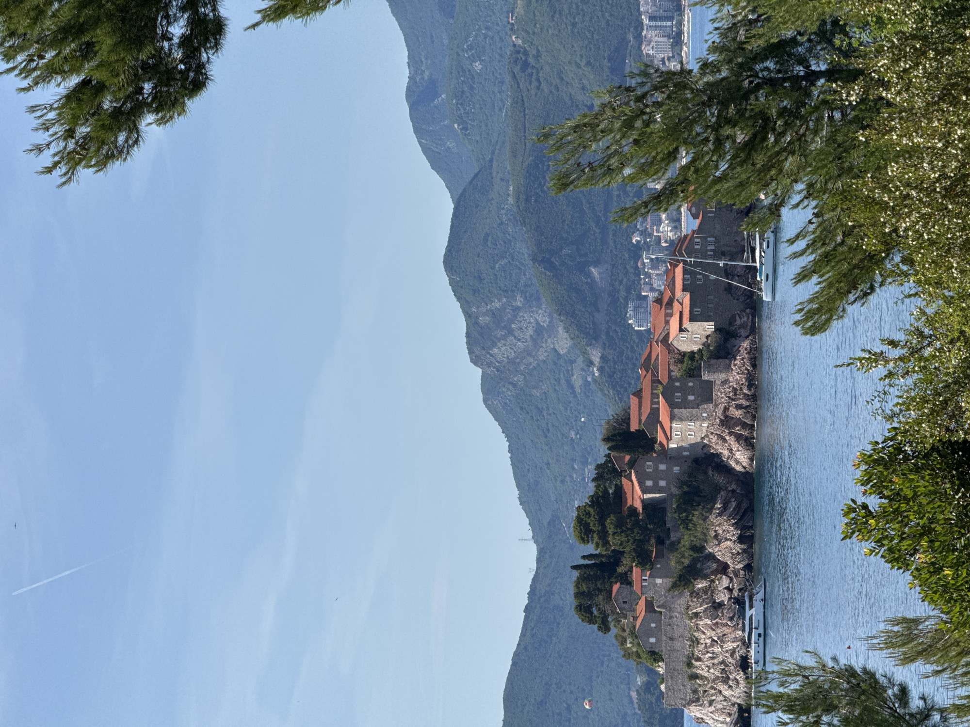 This image captures a wide view of Sveti Stefan, Montenegro, specifically showcasing the fortified island-hotel connected to the mainland. The island occupies the central mid-ground, characterized by numerous stone buildings with red-tiled roofs, nestled on a rocky promontory. Green trees and shrubs are interspersed among the structures and on the island's rocky base.
The foreground features lush green foliage, including discernible pine branches on the right and lower left, and a variety of smaller bushes with some white blossoms at the bottom center and right.
In the calm, blue waters surrounding the island, a white motor yacht is positioned to the left of the island, while a white sailboat with a tall mast is visible to the right, closer to the island's edge. A faint orange and white parasail, carrying a person, is observable high in the sky to the left, indicating parasailing activity.
The background consists of a chain of verdant, tree-covered mountains stretching across the horizon. Beyond the island and across the bay to the right, a densely built-up coastal town or city with numerous multi-story buildings can be seen at the base of the mountains. The sky is largely clear and light blue, with a distinct white contrail left by an aircraft diagonally traversing the upper left quadrant. A small dark object, possibly a bird, is visible in the upper right sky, and another smaller dark speck is in the mid-left sky.