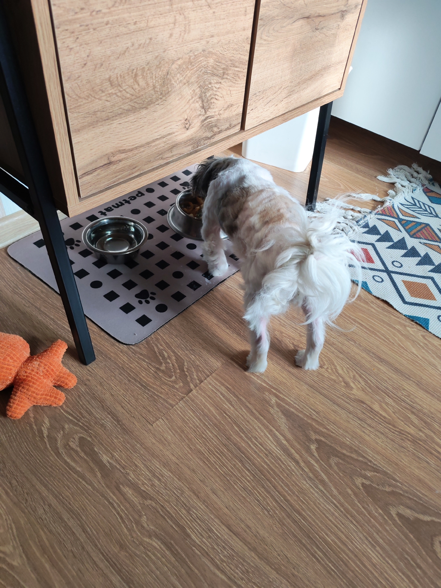 A small, mixed-breed dog with a tan and white coat is positioned beneath a wooden cabinet with black metal legs. The dog appears to be eating from a metal food bowl placed on a grey "petmat" with black paw print designs. To the left of the petmat is an orange starfish-shaped plush toy. A colorful, patterned rug is visible on the right side of the image. The floor is made of wood-look laminate. The location is inside a home or apartment. There is no indication of Izhevsk, Russia in the image.
