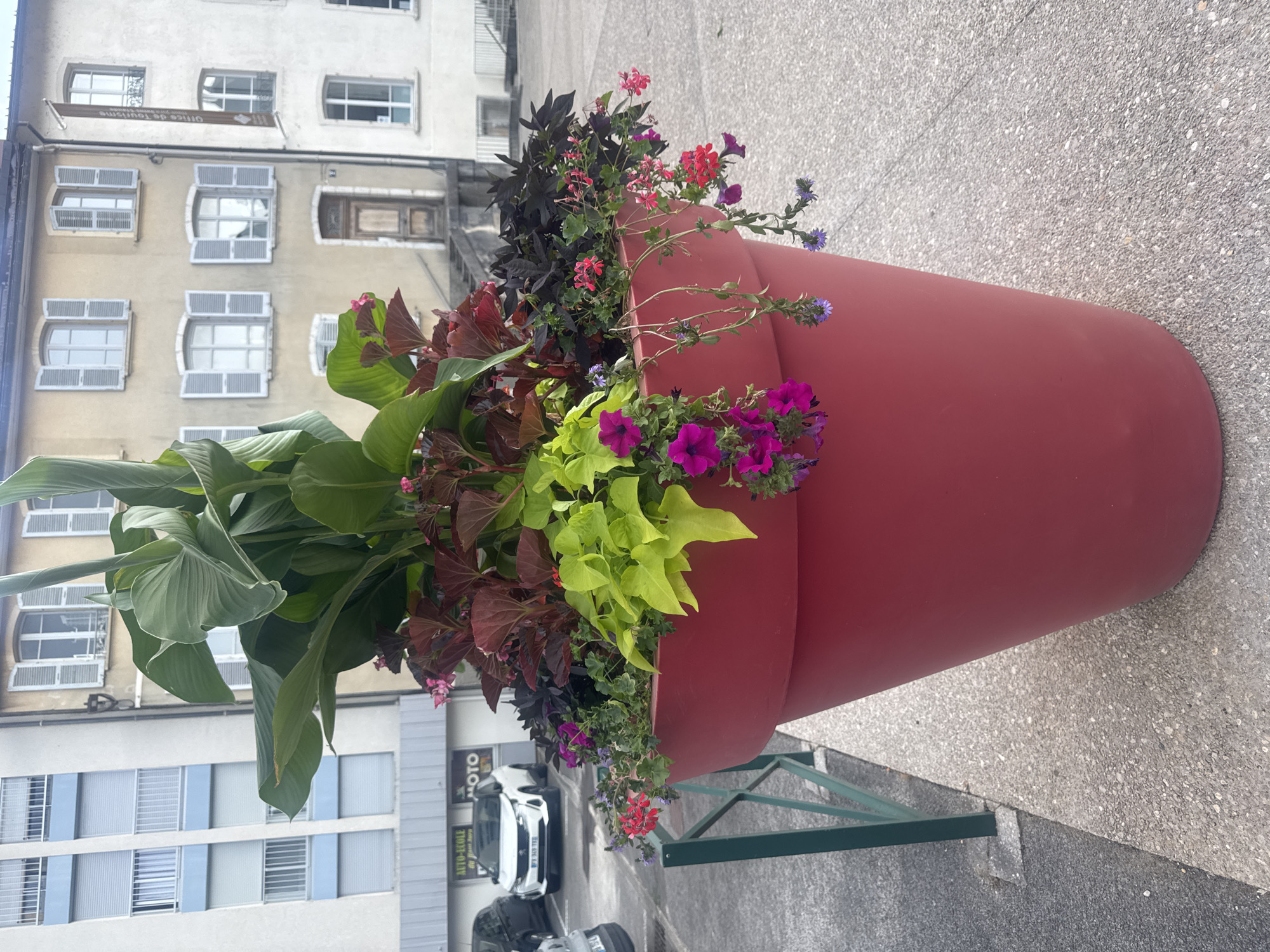 The image depicts a large, red, conical planter filled with various plants, including large green leaves, dark red foliage, bright green leaves, and small pink and purple flowers. The planter is situated on a paved surface, likely a sidewalk or plaza, with a green metal railing to the left. In the background, there are buildings with multiple windows and shutters, suggesting an urban or town setting. A white car is parked to the left of the planter, and a sign for "AUTO-ECOLE" and "MOTO" is visible. A banner hanging from one of the buildings reads "Office de Tourisme." The presence of the "Office de Tourisme" banner and the architectural style of the buildings indicate the location is likely in the city of Saint-Claude, France. There are no people visible in the image. The scene appears to be a street-level view during daylight.