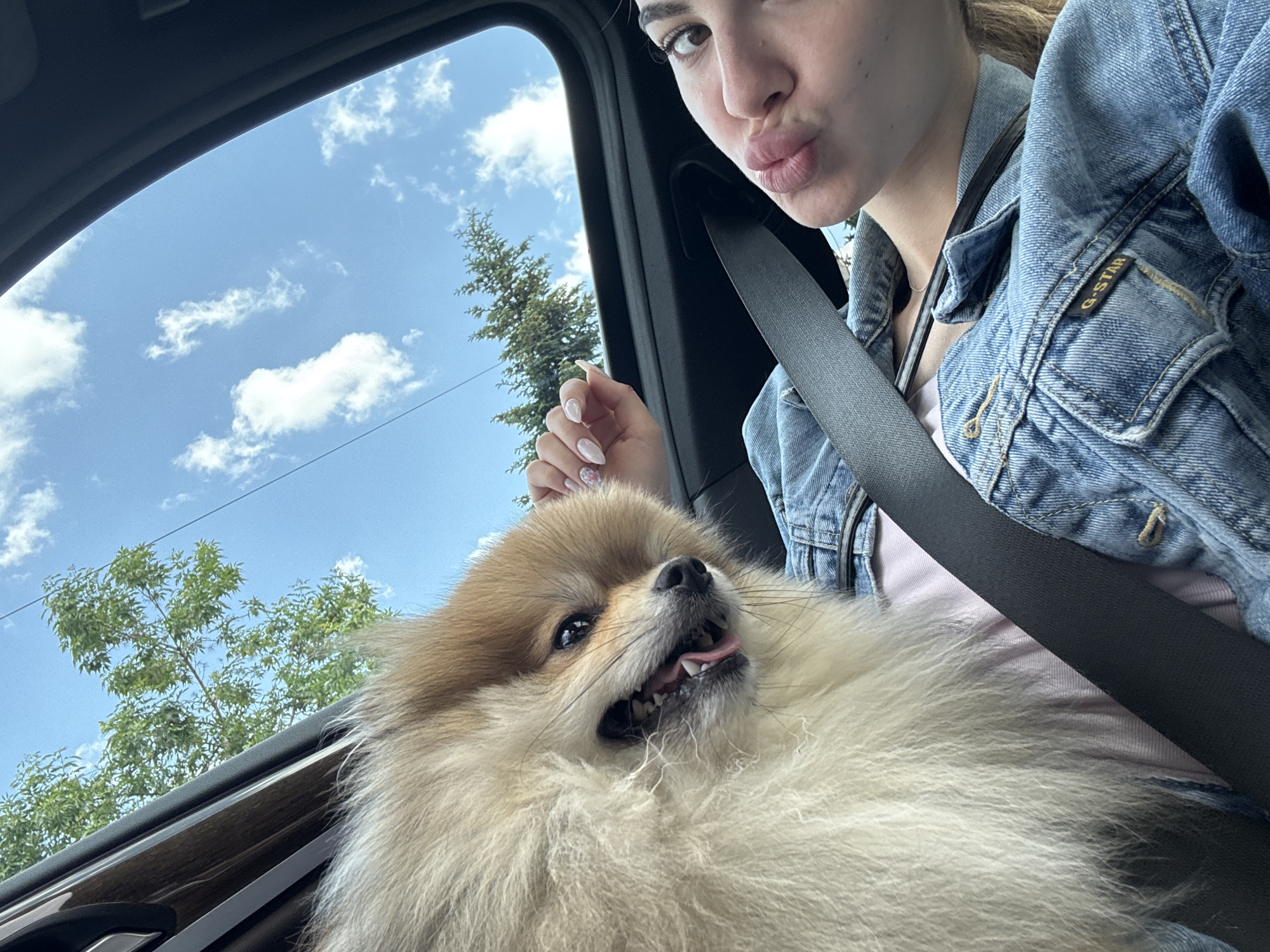 A selfie-style image captures a young woman and a Pomeranian dog inside a car, likely in Sofia, Bulgaria, during daytime. The woman is positioned in the upper right, making a pouting or kissing face towards the camera. She wears a light blue denim jacket, with a "G-STAR" brand tag visible on the left chest pocket, and a light pink top underneath. A black seatbelt crosses diagonally across her chest and extends down to secure the dog. Her right hand, adorned with light-colored, detailed nail polish, is gently placed near the dog.
The fluffy, light brown and cream-colored Pomeranian occupies the left and central-lower portion of the frame, looking up with its mouth slightly open, showing its tongue and teeth, giving it an energetic and possibly happy expression.
Outside the car window, a clear blue sky with scattered white, cumulus clouds is visible. Lush green trees, some appearing coniferous and others deciduous, line the view, suggesting a natural or suburban setting. The car's interior elements, such as the dark headliner and window trim, frame the exterior view. The bright sunlight indicates good weather conditions.