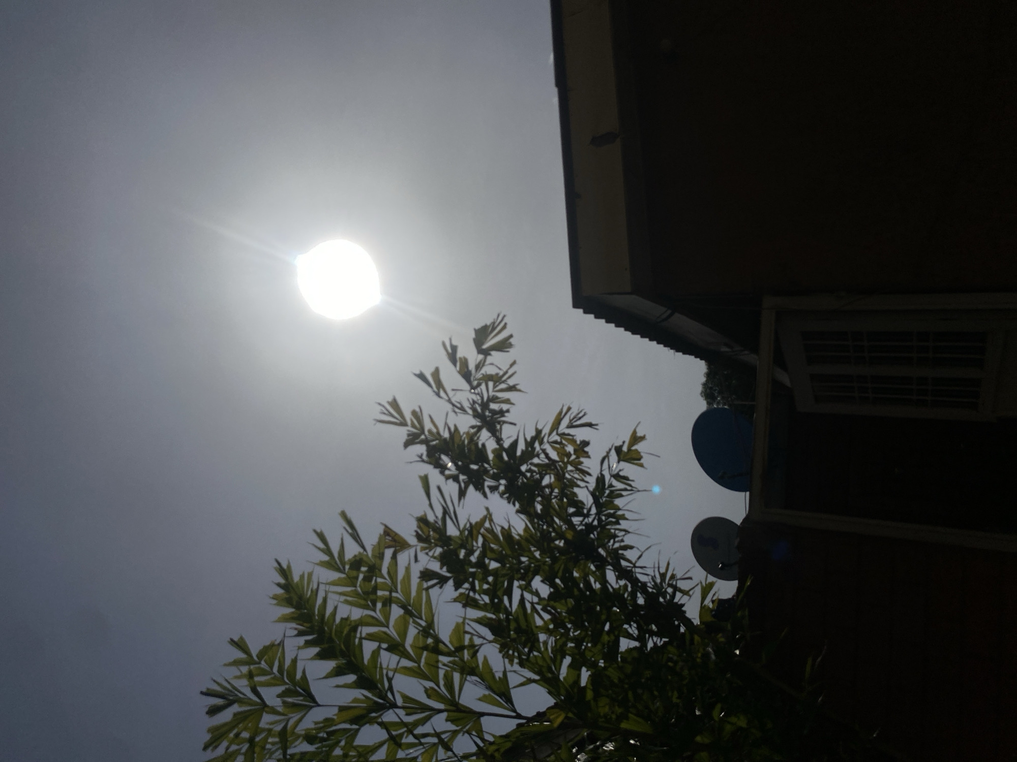 The image shows a low-angle shot in Barden Yana, Nigeria, focusing upwards towards a bright sun partially obscured by a tree with slender, pointed leaves. The tree is positioned in the lower-middle of the frame. The corner of a building is visible on the right side of the frame, appearing dark due to underexposure. Two satellite dishes are attached to the building’s wall. The sky is pale and washed out due to the brightness of the sun.