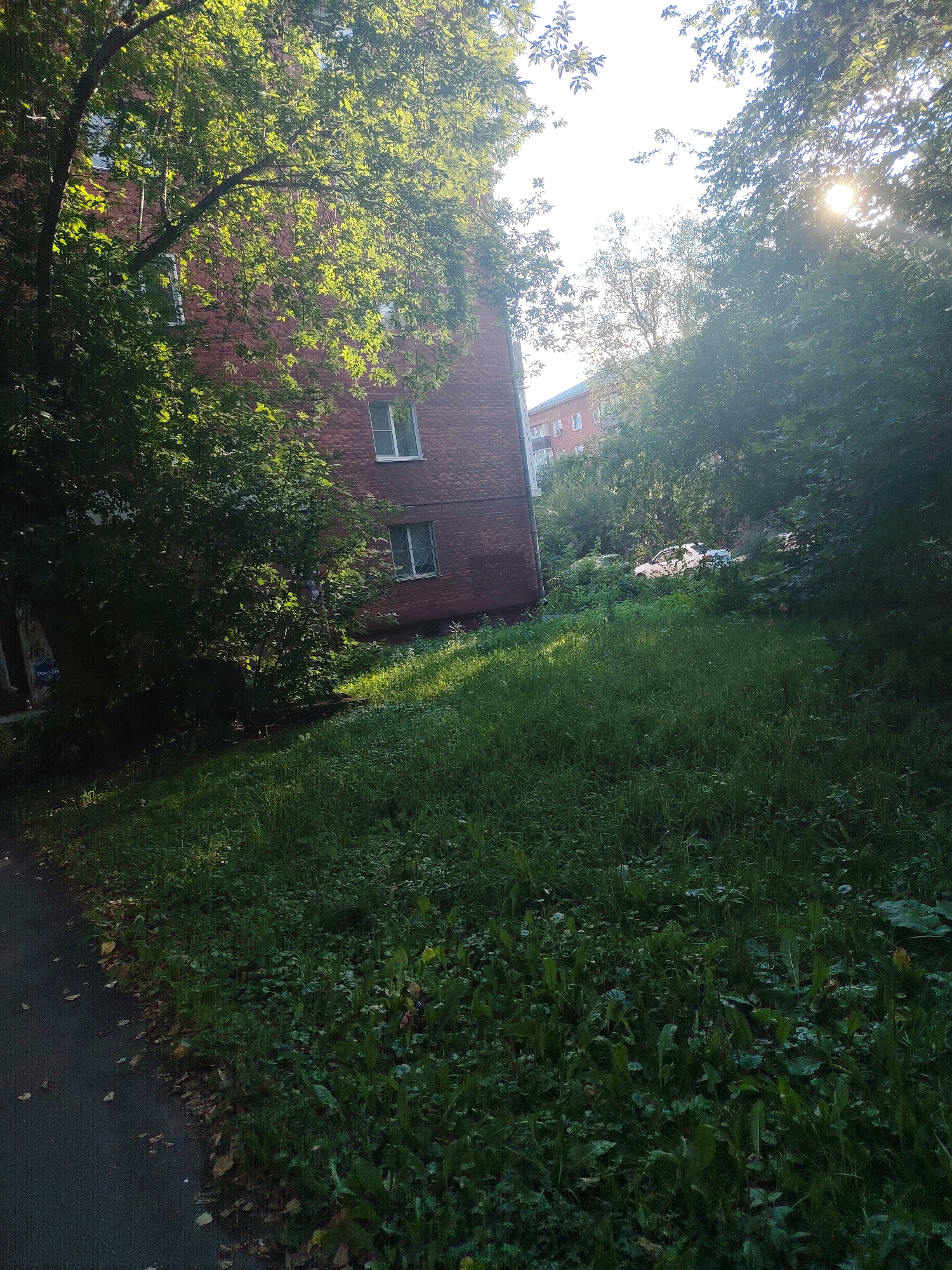 The image captures a sunlit scene of a brick apartment building partially obscured by lush green trees. The building has multiple windows, some with white frames. A paved walkway with scattered fallen leaves runs along the left edge of the frame, bordering a dense area of grass and vegetation. The sun's rays pierce through the foliage, creating dappled light and shadows on the grass. In the background, beyond the trees, another apartment building and a white car are faintly visible. The setting appears to be a residential area in Kemerovo, Russia, likely during daytime given the strong sunlight. There are no people or animals visible in the frame.