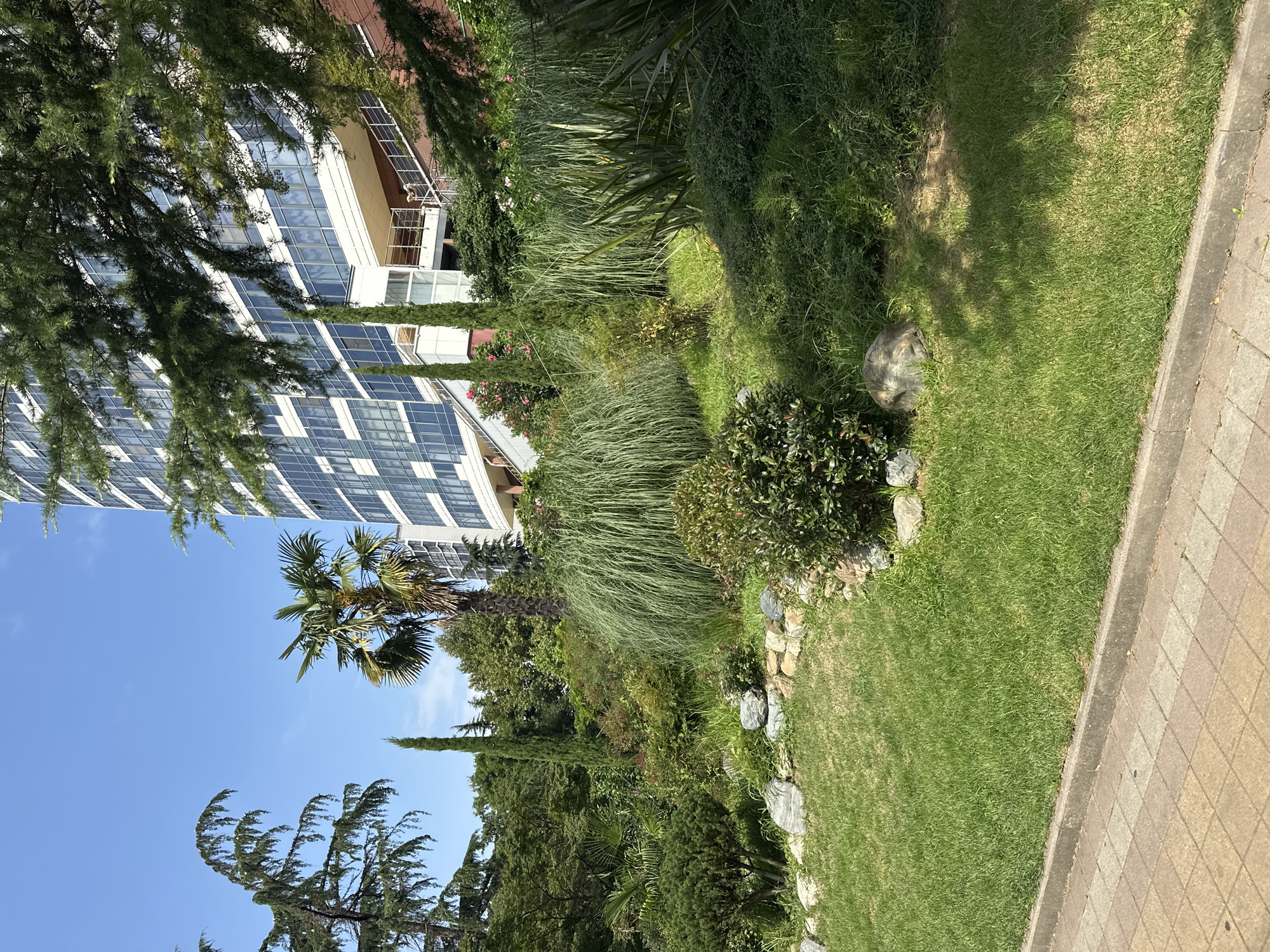 This is a full, eye-level, outdoor shot of a modern building's landscaping in Sochi, Russia. The building is tall with a facade of reflective glass windows and white accents, curving into the upper right corner of the frame. In the foreground, a well-maintained lawn slopes upward towards a variety of lush green plants and trees. A few large rocks are placed along the edge of a lower rock wall. A paved walkway with a checkered pattern borders the lower edge of the lawn. The sky is a clear blue with some sunlight dappling the grass.