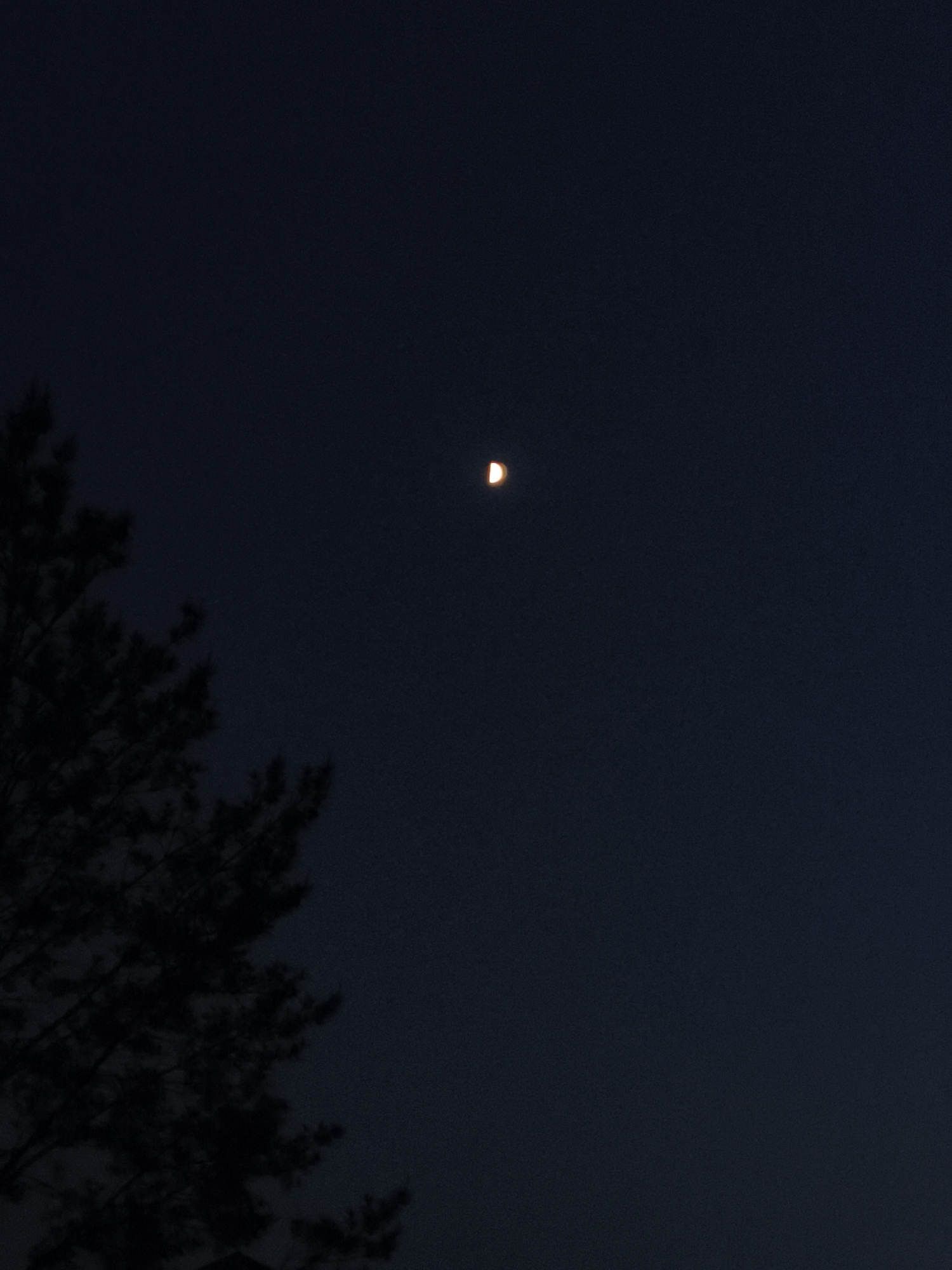 The image shows a dark night sky with a crescent moon visible in the upper center. A silhouetted tree is visible in the lower left corner. The location, Русский Вожой, Russia, cannot be confirmed from the image alone.