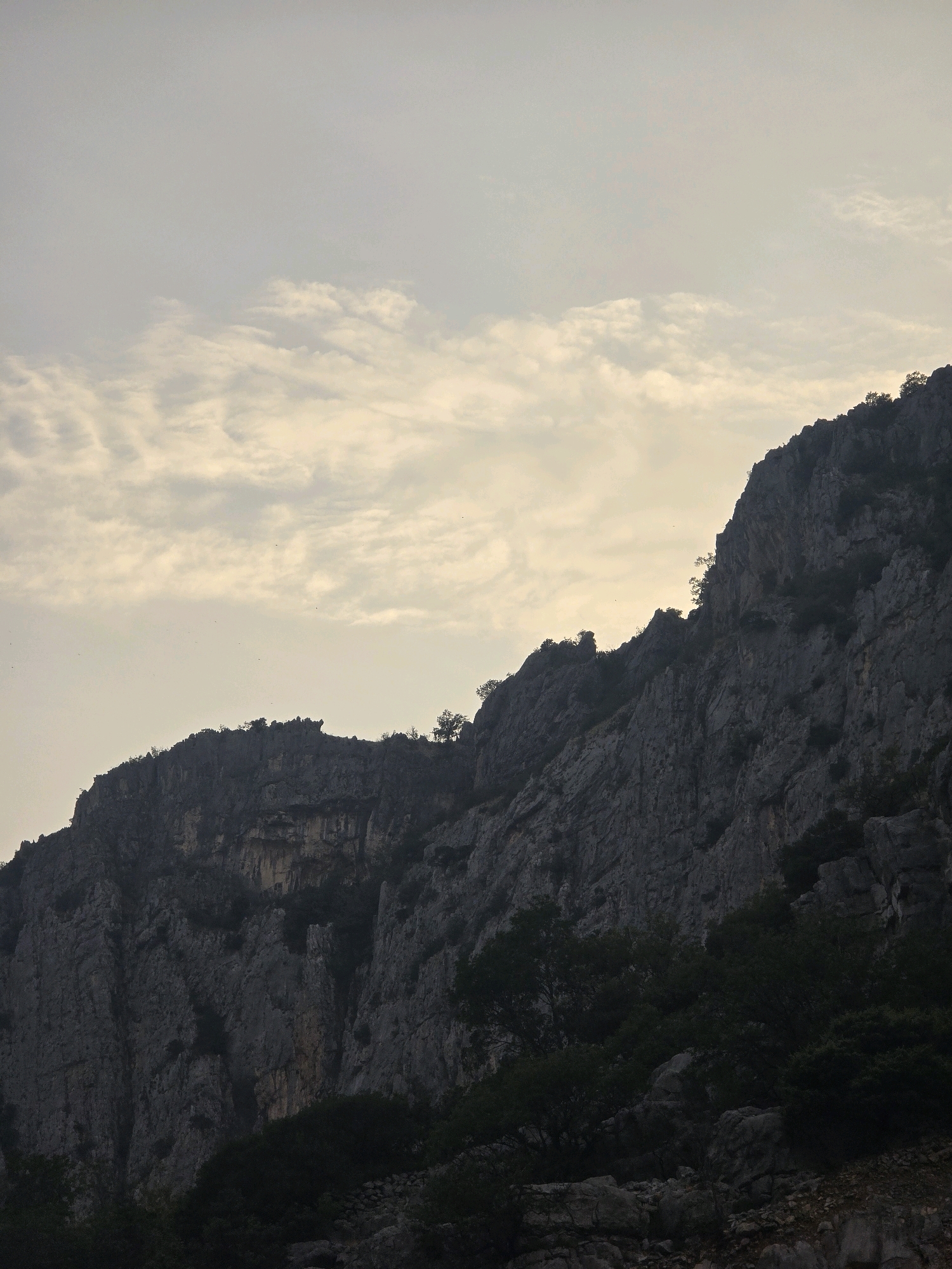 The image depicts a steep, rocky mountainside in Podgorica, Montenegro, under a hazy, overcast sky. The rock formations are characterized by jagged edges and rough textures, with some lighter colored strata visible in places. Sparse vegetation, consisting of dark green trees and shrubs, clings to the slopes, particularly in the lower portions of the image. The overall lighting suggests it is either early morning or late afternoon, with the sun partially obscured by clouds, creating a muted and somewhat somber atmosphere. The scene is natural and devoid of any human presence or man-made structures.