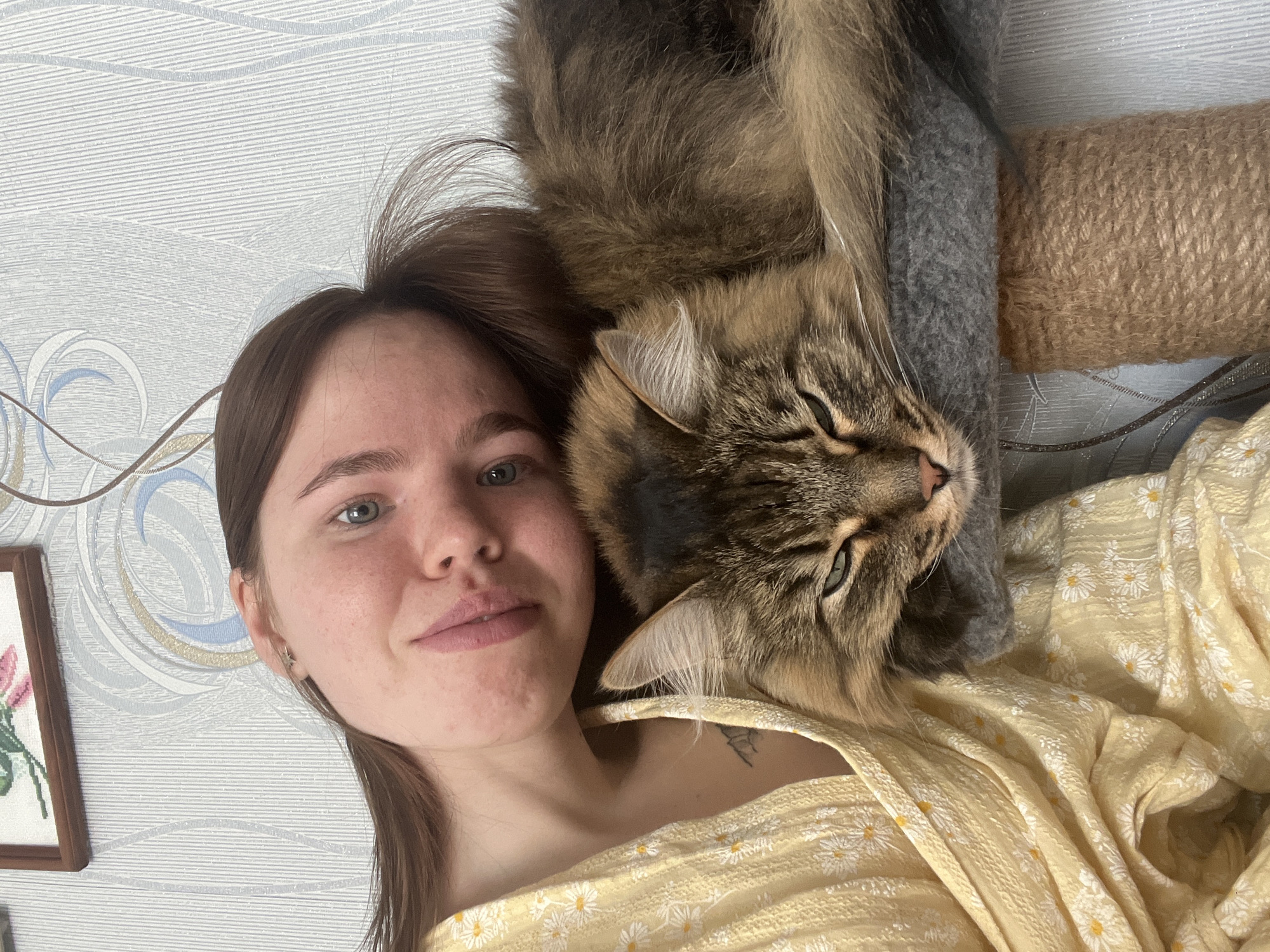 An indoor scene depicts a young adult female and a domestic cat. The female, positioned on the left and tilted slightly, has fair skin, light brown hair, and blue-green eyes. She wears a yellow garment with white daisy patterns, a small star-shaped earring in her left ear, and a partial mountain-like tattoo on her left upper chest. Her expression is a slight smile. The long-haired, brown tabby cat is resting its head on a grey, felt-covered platform, part of a cat tree, with its eyes partially closed. Below the platform, a segment of a natural fiber scratching post is visible. The background consists of light grey patterned wallpaper with white, light blue, and tan abstract designs. A framed cross-stitch artwork depicting a pink floral design hangs on the upper left wall, and a thin dark cable descends from the top center. The specific location within Chaikovsky, Russia, cannot be determined from the image.