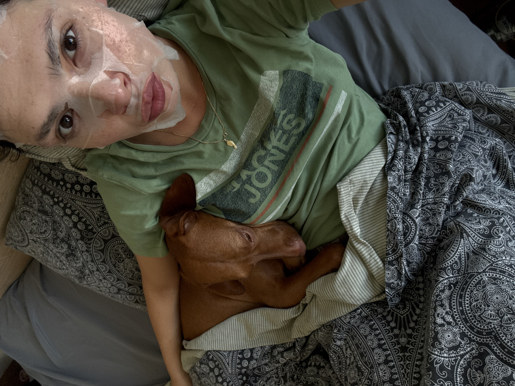 An overhead shot captures a person lying on their back in bed, wearing a sheet mask, with a dog snuggled beside them. The person, who appears to be a young adult with dark hair and eyes, looks directly at the camera. The sheet mask covers most of her face, leaving cutouts for her eyes, nose, and mouth, revealing pink-tinted lips. She wears a sage green t-shirt with a faded graphic featuring the word "JONES" prominently across the chest. A thin gold chain necklace with a small, winged charm is visible around her neck.
Resting comfortably against her side and partially beneath a striped sheet is a reddish-brown, short-haired dog, possibly a Pharaoh Hound. The dog's head is nestled into her body, and its eyes appear closed, indicating sleep or deep relaxation.
The bedding consists of a dark gray pillow, a light grey and white striped sheet or blanket, and a decorative black blanket with intricate white paisley patterns covering the lower portion of the bed. The overall scene suggests a quiet moment of relaxation and companionship between the person and their pet in an indoor setting, likely a bedroom. The location context for this media is Sofia, Bulgaria.