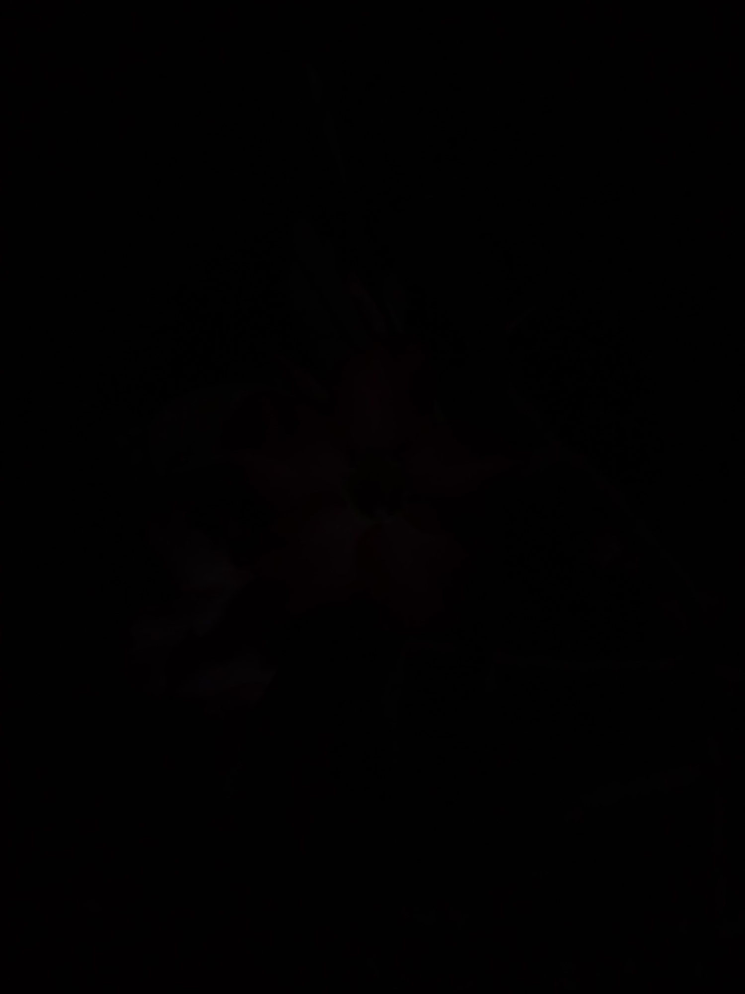 The image is completely black and does not contain any discernible visual information. Therefore, it is impossible to provide a description of the scene, including any location in Gampong Teungoh, Indonesia, or details about people, subjects, objects, actions, interactions, or the environment.