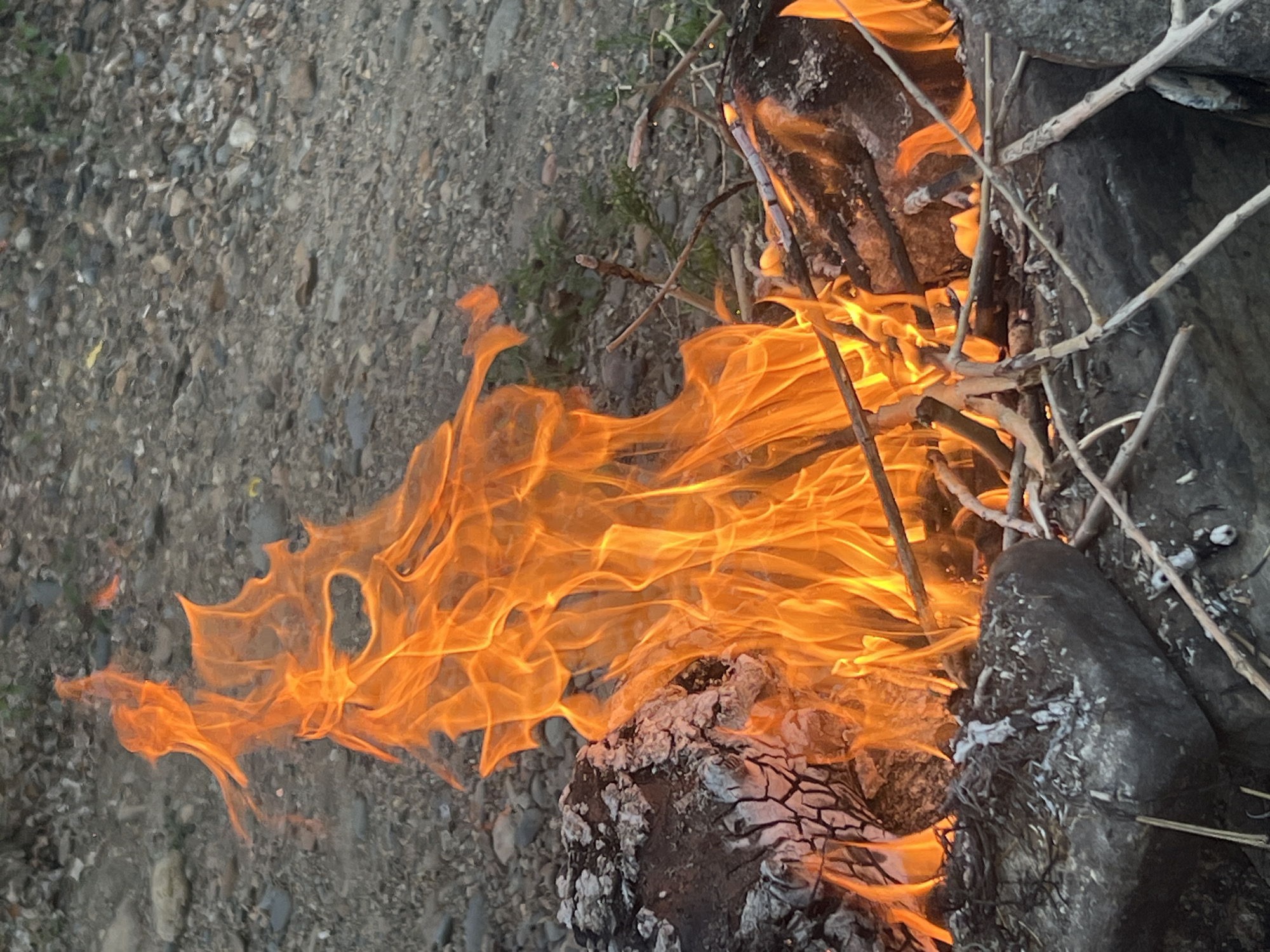 This is a close-up, eye-level shot of a campfire in Pribrejnii, Kazakhstan. The fire is burning brightly with vibrant orange and yellow flames, consuming dry twigs and larger pieces of wood. The background consists of a rough, rocky terrain with scattered pebbles and small patches of green vegetation. Several dark, weathered rocks form the base of the campfire. No people are present in the image. The scene appears to be outdoors in a natural setting.