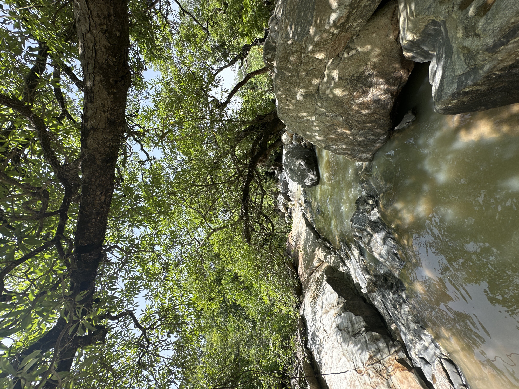 The image shows a rocky stream flowing through a lush green forest. Sunlight filters through the dense canopy of trees, casting dappled shadows on the water and rocks. The water is clear and appears shallow, with smooth, rounded stones visible beneath the surface. Large boulders are scattered along the stream banks, some partially submerged. The vegetation is abundant, with various shades of green foliage creating a dense, almost impenetrable wall of growth behind the stream. The overall impression is one of a serene and natural environment, untouched by human intervention. There are no people visible in the image. The location is identified as Fobur, Nigeria.