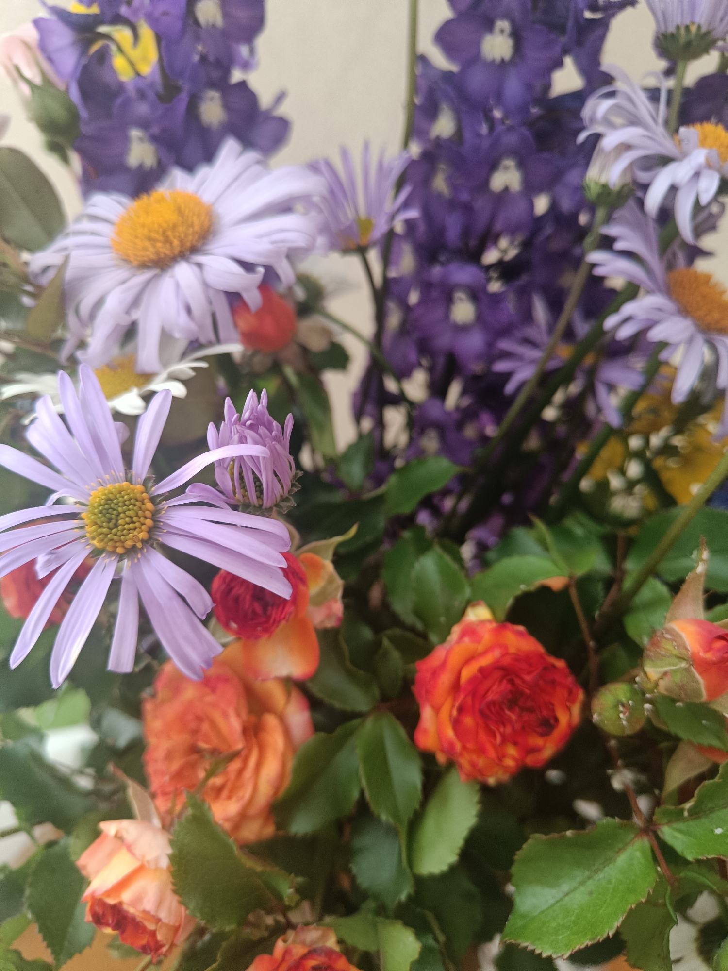 This is a close-up, eye-level photograph of a vibrant bouquet of flowers. The bouquet features a mix of colors and flower types, creating a visually rich composition. Dominant among the flowers are several large, light purple asters with bright yellow centers. Behind these, clusters of deep purple delphiniums provide a contrasting backdrop. Smaller, delicate white daisies with yellow centers are also visible, interspersed with the larger blooms. In the foreground and midground, several small, multi-toned roses in shades of orange and red add warmth and texture to the arrangement. Lush green leaves surround the flowers, providing a natural and organic feel.
The photograph appears to be taken indoors, with soft, diffused lighting that highlights the textures and colors of the flowers without harsh shadows, suggesting it might be daytime with overcast weather or taken in a room with indirect natural light. There are no people or explicit signs of a specific event. The focus is entirely on the natural beauty of the floral arrangement. The overall impression is one of natural beauty and a sense of abundance. The setting is not explicitly defined beyond being a collection of flowers, but the detail suggests a decorative arrangement, possibly for a home or event. There is no visible text in the image. The implied location of Первомайское, Russia, does not provide any specific visual cues within the image itself.