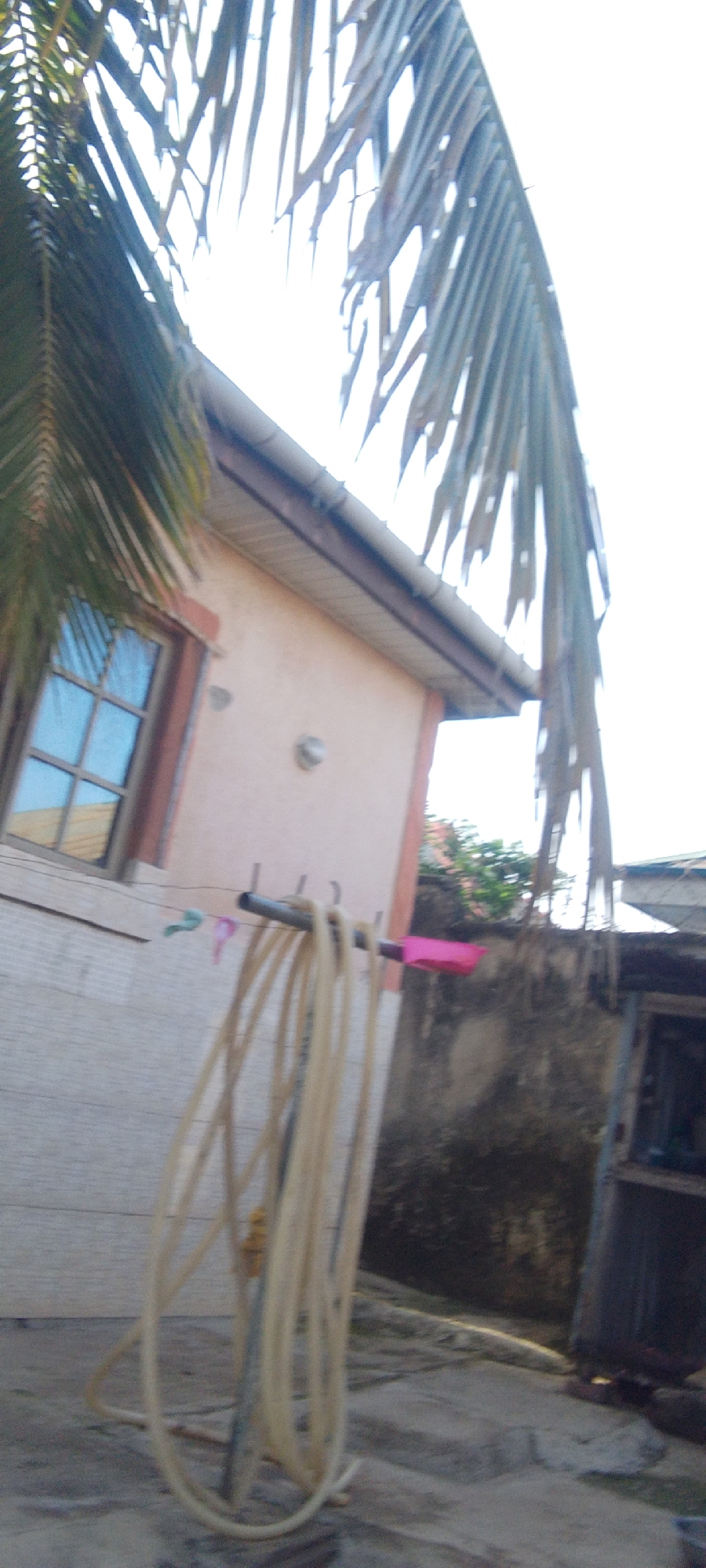 A medium shot captures a portion of a residential property in an outdoor setting under an overcast sky, with a hint of palm fronds in the foreground and upper left. The central focus is a light peach-colored building wall with a dark trim around a window that reflects a pale blue sky. To the left of the window, a light gray horizontal pipe is mounted, from which a thick, light-colored hose is coiled and hanging. Two clothes pins, one light blue and one pink, are attached to a wire above the pipe. To the right of the hose, a bright pink object is attached to the pipe. Behind the pipe, a rough, dark gray wall is visible, with some greenery peeking out above it. The ground in the foreground is a rough, gray textured surface, with a slight slope. To the far right, a dark blue structure with a metallic sheen and a visible opening is partially visible, suggesting it could be a shed or an enclosure.