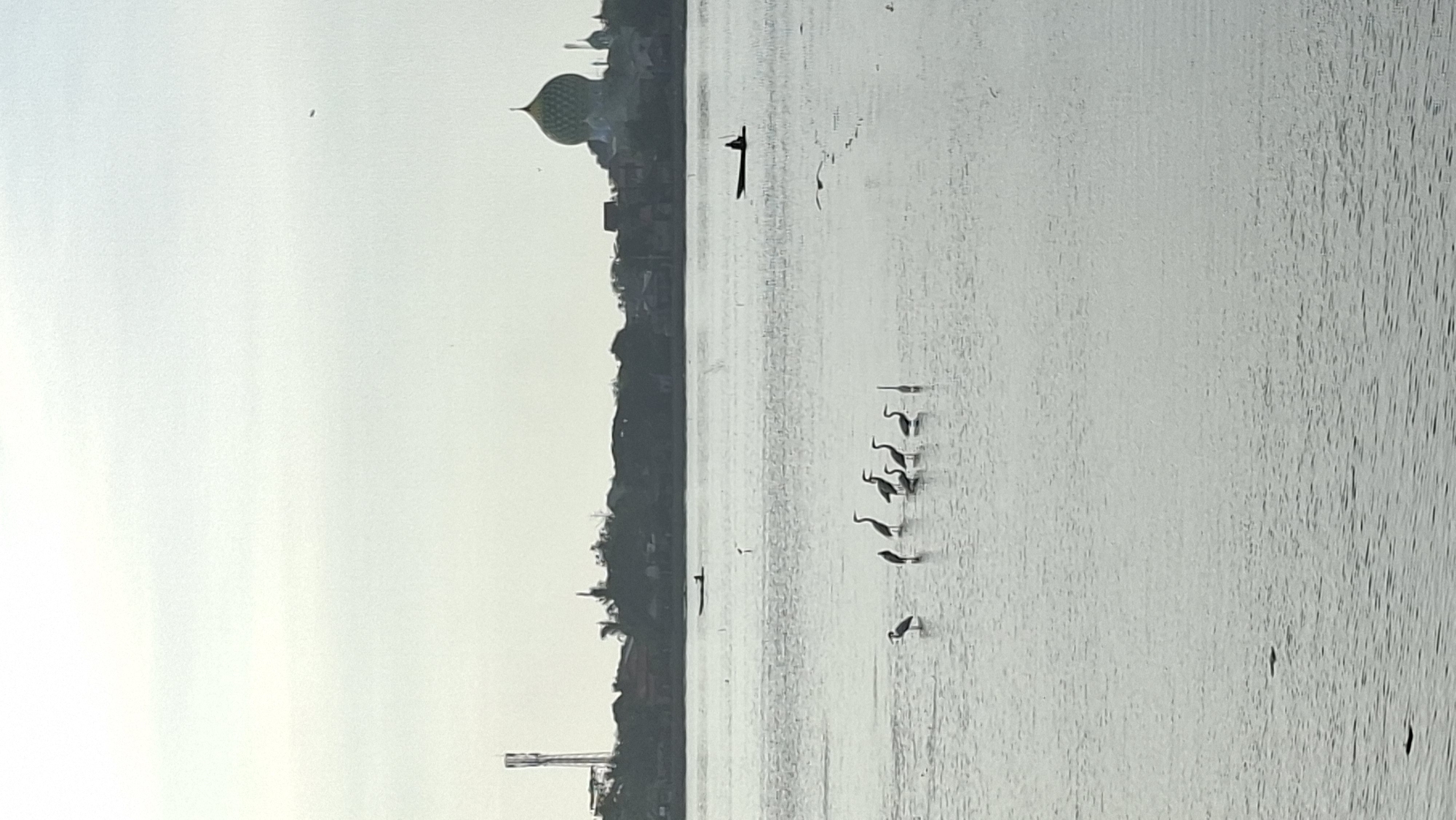 The image depicts a serene body of water, likely a river or bay, in Lhokseumawe, Indonesia. On the left side of the image, a tall communication tower rises above a low-lying cityscape dotted with trees and buildings. Prominently in the distance, a mosque with a distinctive green dome stands out. The foreground is dominated by the calm water, reflecting the overcast sky. Several egrets are present in the water, some standing, others wading. In the middle ground, a small, dark boat with a single occupant is visible, navigating the water. The overall scene suggests a tranquil moment in a coastal or riverside urban environment.