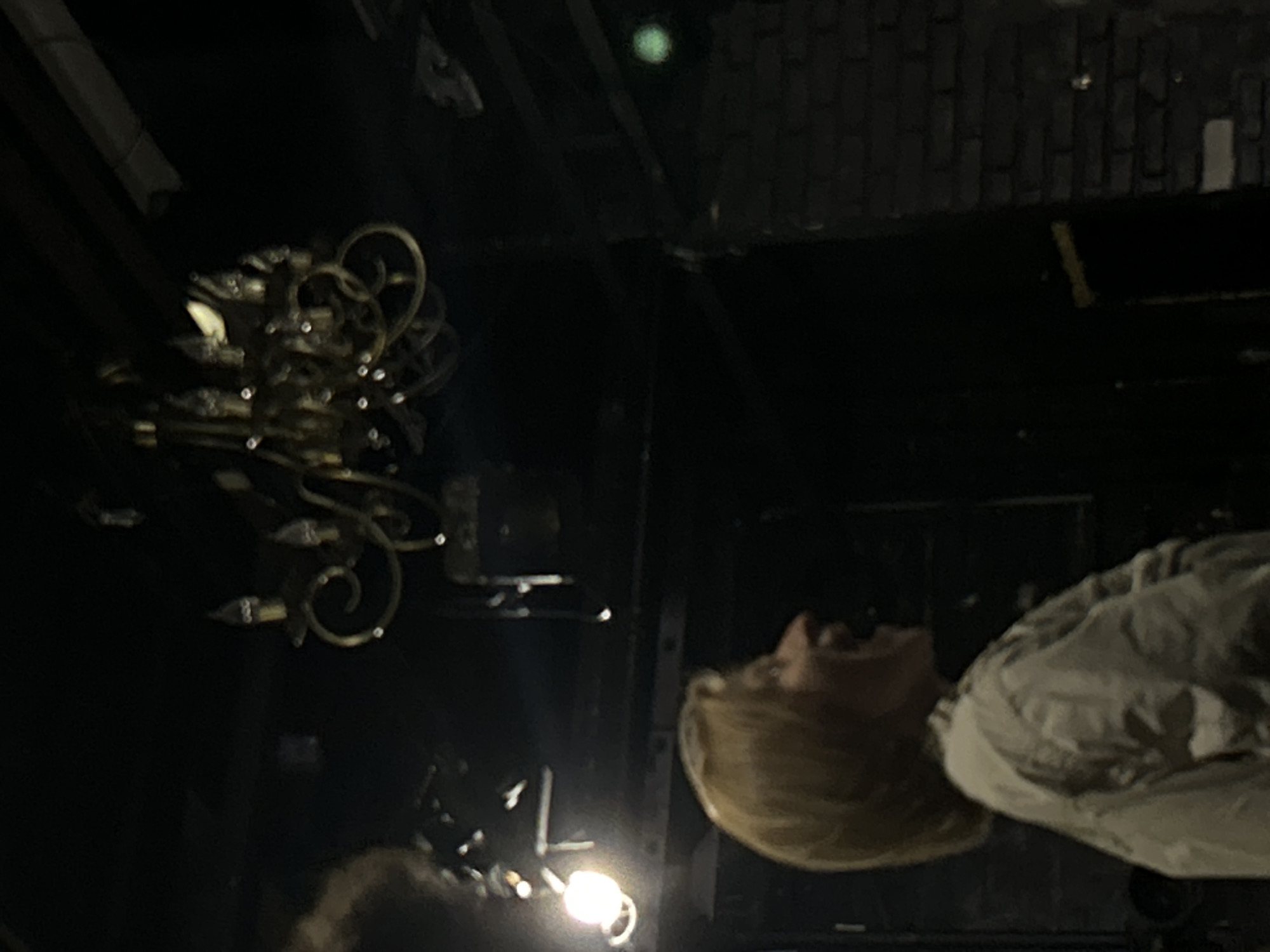 A person with blonde hair and an open mouth is visible in profile, wearing a light-colored jacket. They are looking upwards towards a decorative chandelier. The background is dark, with brickwork visible on the right side of the frame. A bright, circular light source is on the left. The scene appears to be indoors.