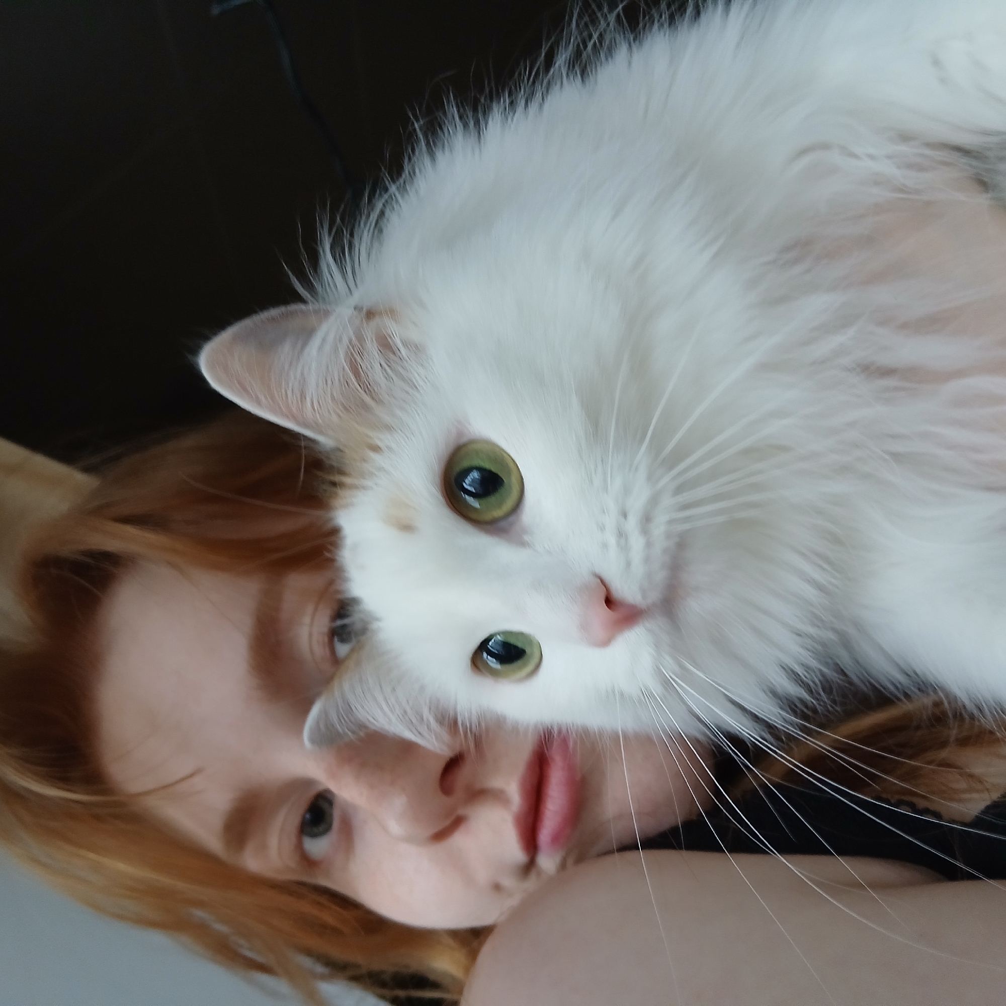 This close-up, angled shot features a person and a white long-haired cat, likely taken in Yekaterinburg, Russia. The image is composed with the cat's face prominently in the foreground, covering part of the person's head and face.
The person appears to be a young woman with reddish-blonde hair, some strands visible around her face. She has light-colored eyes, and faint freckles are visible on her nose and cheeks. Her lips are slightly parted. Her head is tilted, giving the impression she might be lying down or posing for a close-up selfie with the cat.
The cat is a fluffy, long-haired breed, predominantly white with striking green eyes and a small pink nose. It has some faint light brown or ginger markings visible near its left ear. Its long white whiskers are clearly visible, fanning out towards the lower right. The cat's head is resting close to the person's, and its gaze is directed slightly to the right, appearing calm and alert.
The background is mostly dark and out of focus, suggesting an indoor setting with minimal distractions. There is no visible text in the image. Both subjects appear relaxed, creating a sense of intimacy and connection between the pet and its owner.