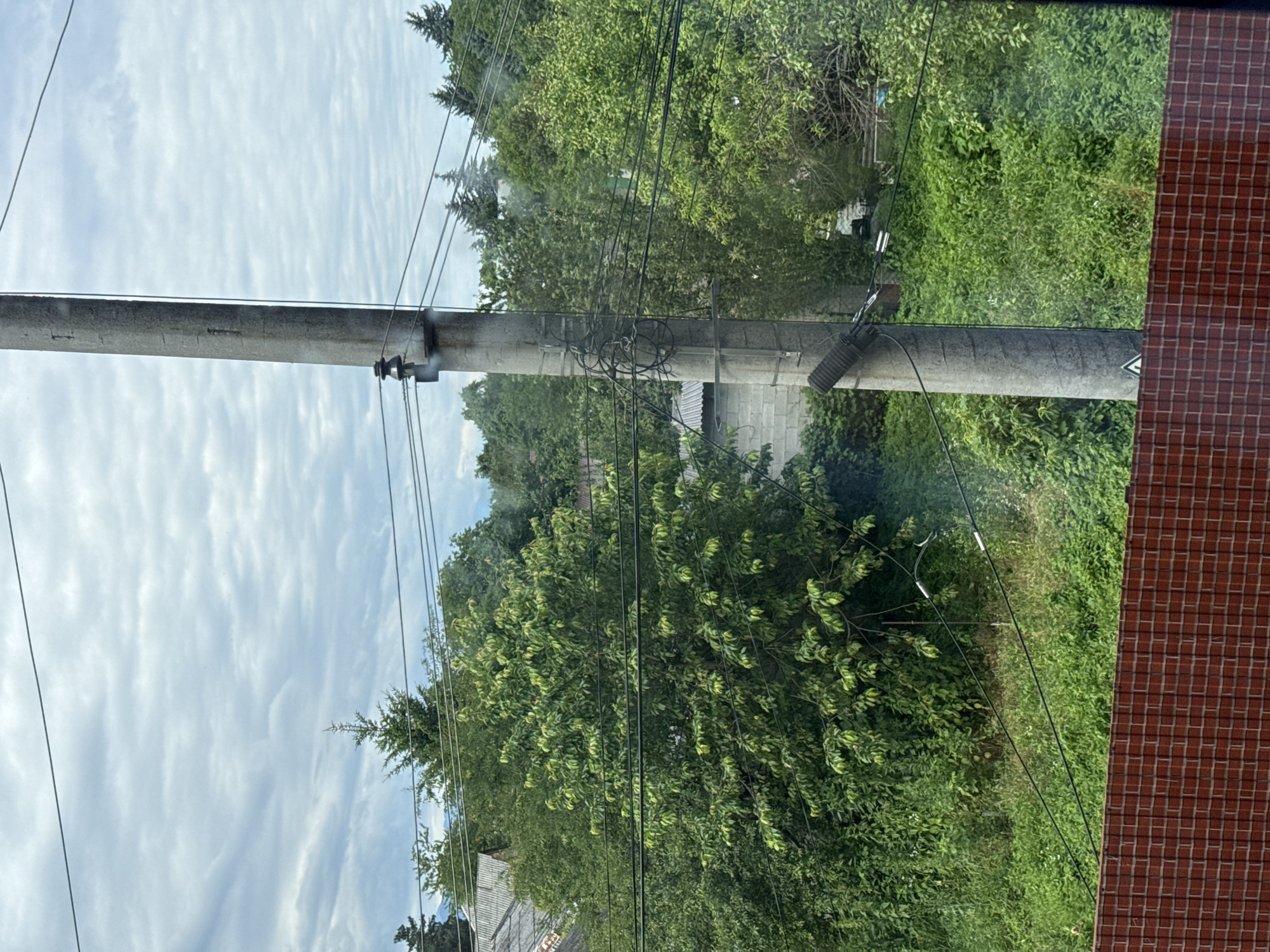 The image depicts an outdoor scene with a concrete utility pole positioned vertically in the foreground, off-center to the right. This pole has several electrical wires attached to it and running horizontally across the frame. Behind the pole, a dense area of green foliage, including trees and bushes, is visible. In the background, there are hints of buildings with grey, tiled roofs and some distant coniferous trees under a cloudy, overcast sky. A brick fence runs across the bottom of the image, partially obscuring the lower portion of the scene. There are no people visible in the image. The setting appears to be a semi-urban or rural area, possibly a residential neighborhood, with overgrown vegetation and utility infrastructure. The overall impression is one of a slightly overgrown, everyday outdoor environment.