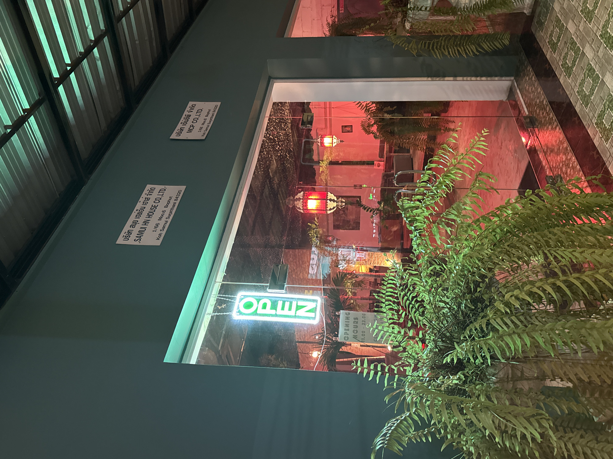 The image shows the entrance to a business at night. A neon green "OPEN" sign hangs vertically in the glass storefront. Below the "OPEN" sign, a smaller sign indicates "OPENING HOURS 11:00 - 22:00". Two signs with Thai text and English text are affixed to the exterior wall above the entrance. The sign on the left reads "SAMUI HN HOUSE CO.,LTD." and the sign on the right reads "MCP CO.,LTD.". Red lanterns are visible inside the establishment. Lush green ferns are in the foreground, partially obscuring the view of the interior. The ground in front of the entrance is paved with a mosaic tile pattern. The overall lighting suggests it is evening or night.