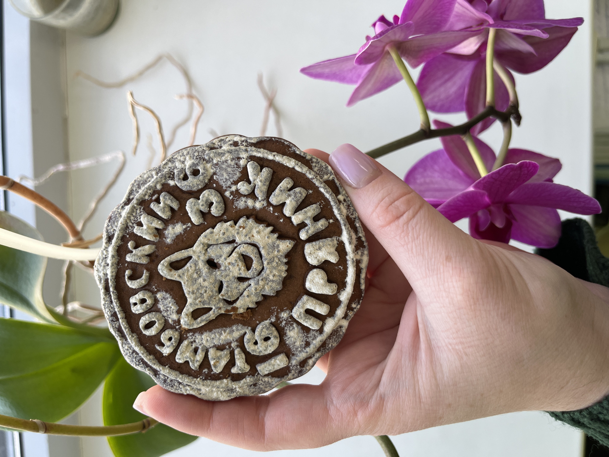 A close-up shot shows a hand holding a round, elaborately decorated gingerbread cookie with an image of an animal (possibly a bull or cow) and Cyrillic text around the perimeter. The cookie is brown with white icing. The hand is pale with light pink fingernails.
The background includes a windowsill with a green plant on the left and a blooming purple orchid on the right. A glass jar is also visible on the windowsill.
Given the context of "Klin, Russia," the Cyrillic text on the cookie likely has significance related to the location or a local event. The cookie itself appears to be a souvenir or commemorative item.