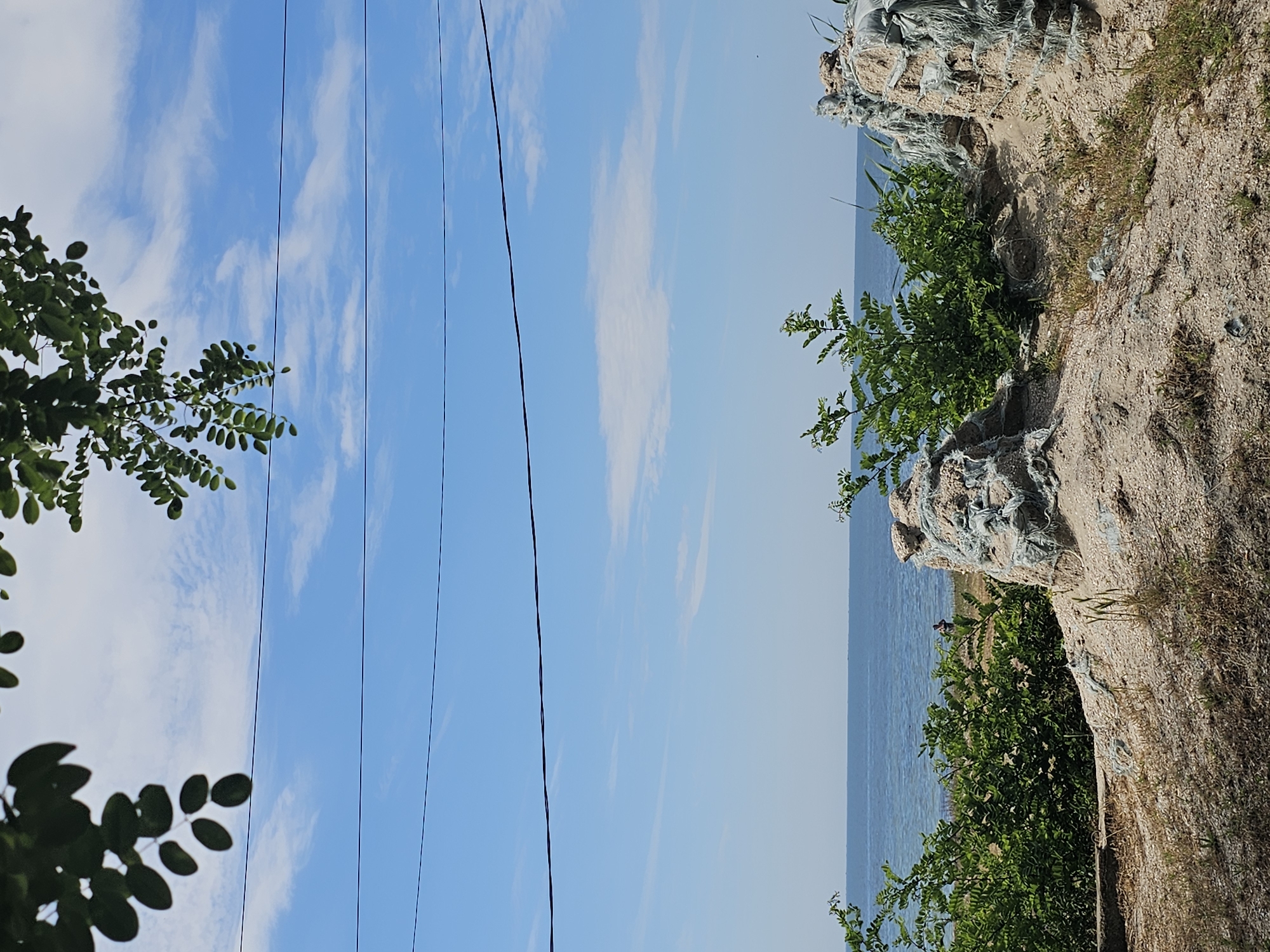 This image depicts a coastal scene with a body of water, likely the Black Sea, under a bright, partly cloudy sky. The foreground features sandy terrain with sparse dry grass and small mounds of sand covered in what appears to be netting and debris. Two bushes are prominent, one on the left and another on the right side of the frame. Beyond the bushes, a person is visible standing near the waterline. Three black wires stretch horizontally across the sky. In the upper portion of the image, dark green leaves hang down from a branch, framing the sky. The image captures a section of the coastline in Skadovsk, Ukraine.