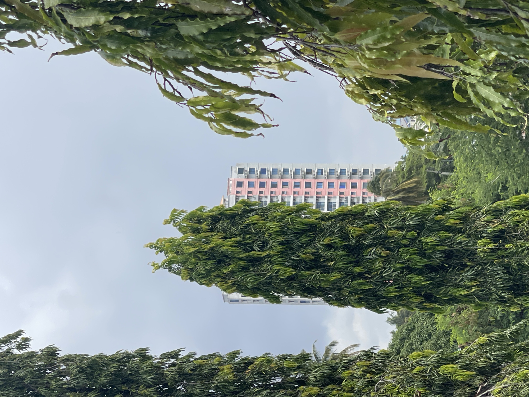 The image shows a tall building with a pink facade, viewed through dense green foliage. The location is Dar es-Salaam, Tanzania. The building appears to be an apartment complex or office building, with multiple floors and a regular pattern of windows. The surrounding environment is lush, with trees and plants framing the view. The sky is overcast. There are no people visible in the image.