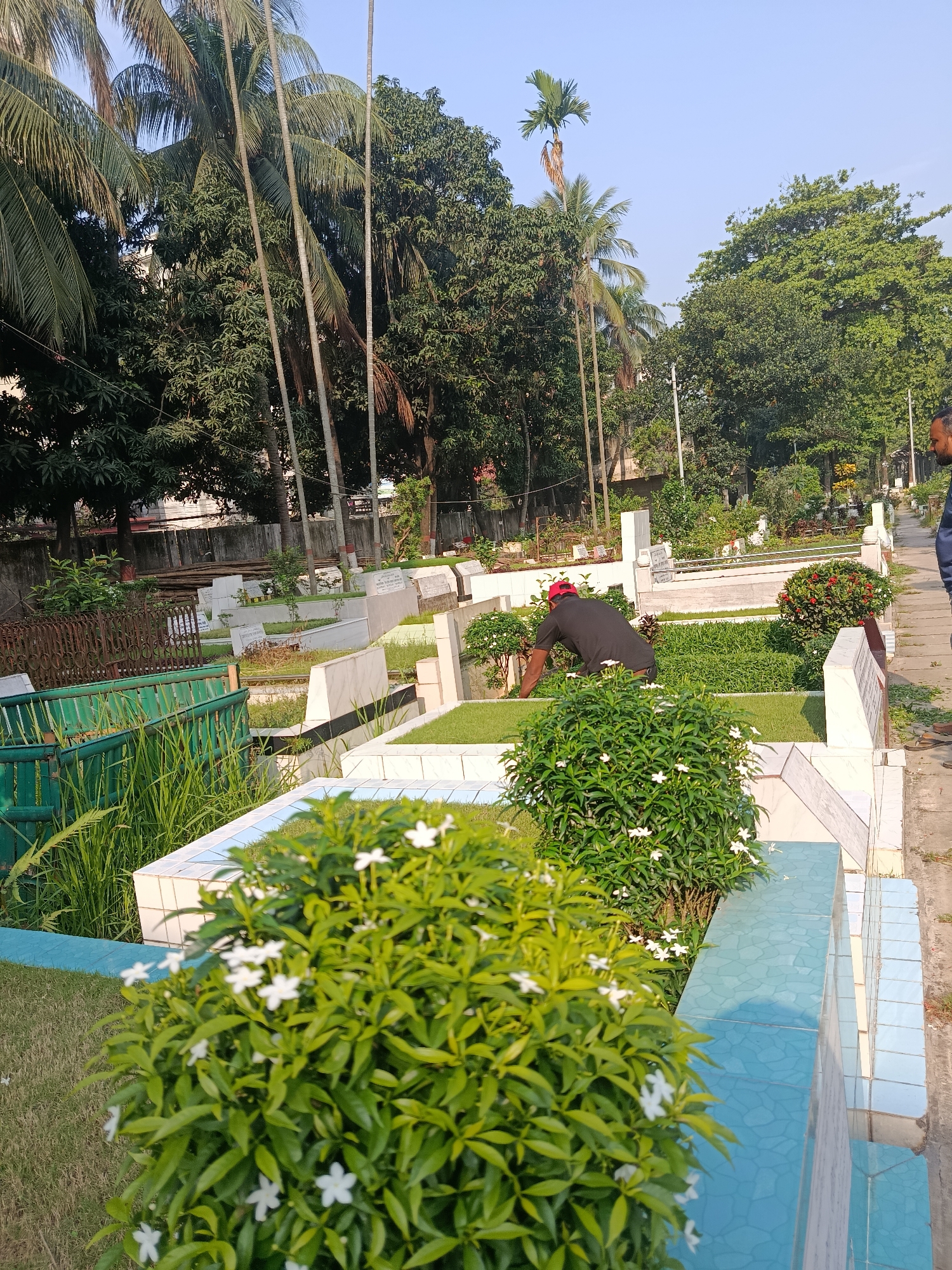 The image shows a well-maintained cemetery in Dhaka, Bangladesh. Numerous white grave markers are visible among green grass and lush vegetation. A man wearing a red cap and black shirt is tending to a grave. A second man stands on a sidewalk. The surrounding environment includes tall trees, some appearing to be palm trees. The sky is clear and light, suggesting it is either early morning or late afternoon.