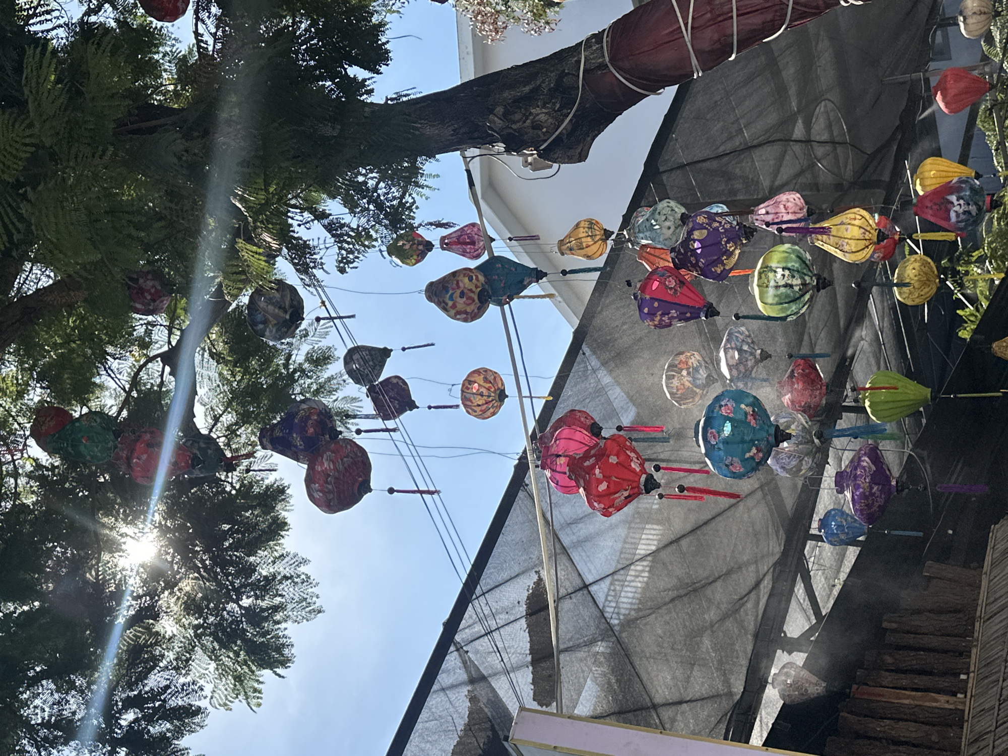 The image captures a street scene in the city of Đà Nẵng, Vietnam, adorned with a vibrant display of traditional Vietnamese lanterns. These colorful lanterns, in various shapes and sizes, are suspended from the branches of a large tree and from overhead wires, creating a festive atmosphere. The sunlight filters through the lush green leaves of the tree, casting dappled shadows and creating lens flares across the scene. In the background, a white building with a red-wrapped tree trunk is visible, along with a black, textured canopy stretched over an outdoor area. The lanterns themselves are decorated with intricate patterns and designs, adding to the visual appeal. The sky is a clear blue, indicating a sunny day. There are no people or animals visible in the image, and no discernable action is taking place. The focus is entirely on the decorative lanterns and the natural and man-made elements surrounding them.