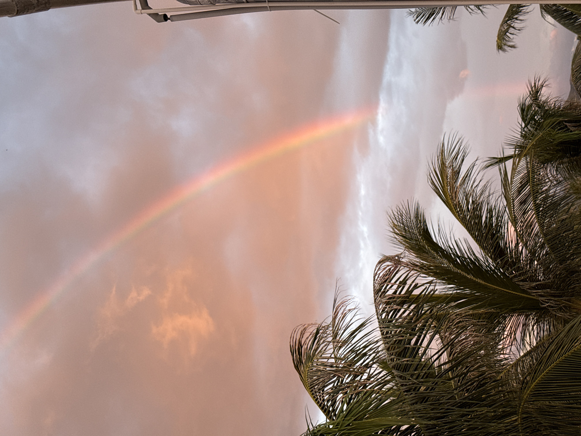 A vibrant rainbow arcs across a peach-colored sky filled with soft, textured clouds. In the foreground, the fronds of a palm tree are visible, their dark green leaves contrasting with the warm sky. To the right, a tall, metallic structure with pipes and brackets, possibly part of a building or utility pole, stands against the sky. The scene suggests a serene and picturesque moment in the city of Song Cau, Vietnam.