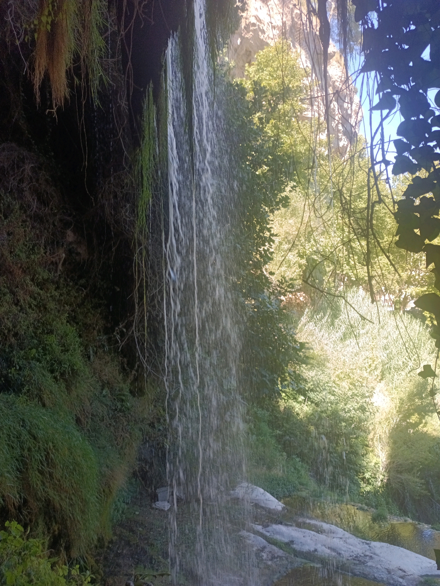 The image shows a waterfall cascading down a rocky, vegetation-covered cliff face. The water falls in numerous thin streams, creating a shimmering effect. The surrounding environment is lush with green foliage, including moss and vines clinging to the rocks. Trees and branches overhang the scene, with sunlight filtering through the leaves, illuminating parts of the environment with a warm, golden glow. The base of the waterfall leads to a body of water, possibly a pool or a stream, with some rocks visible at the edge. There is a suggestion of a cave or overhang at the top of the waterfall where the water originates. The overall impression is of a natural, serene outdoor setting. This scene is located at the "Salt de la Cascada" waterfall in Sant Quirze Safaja, Spain.