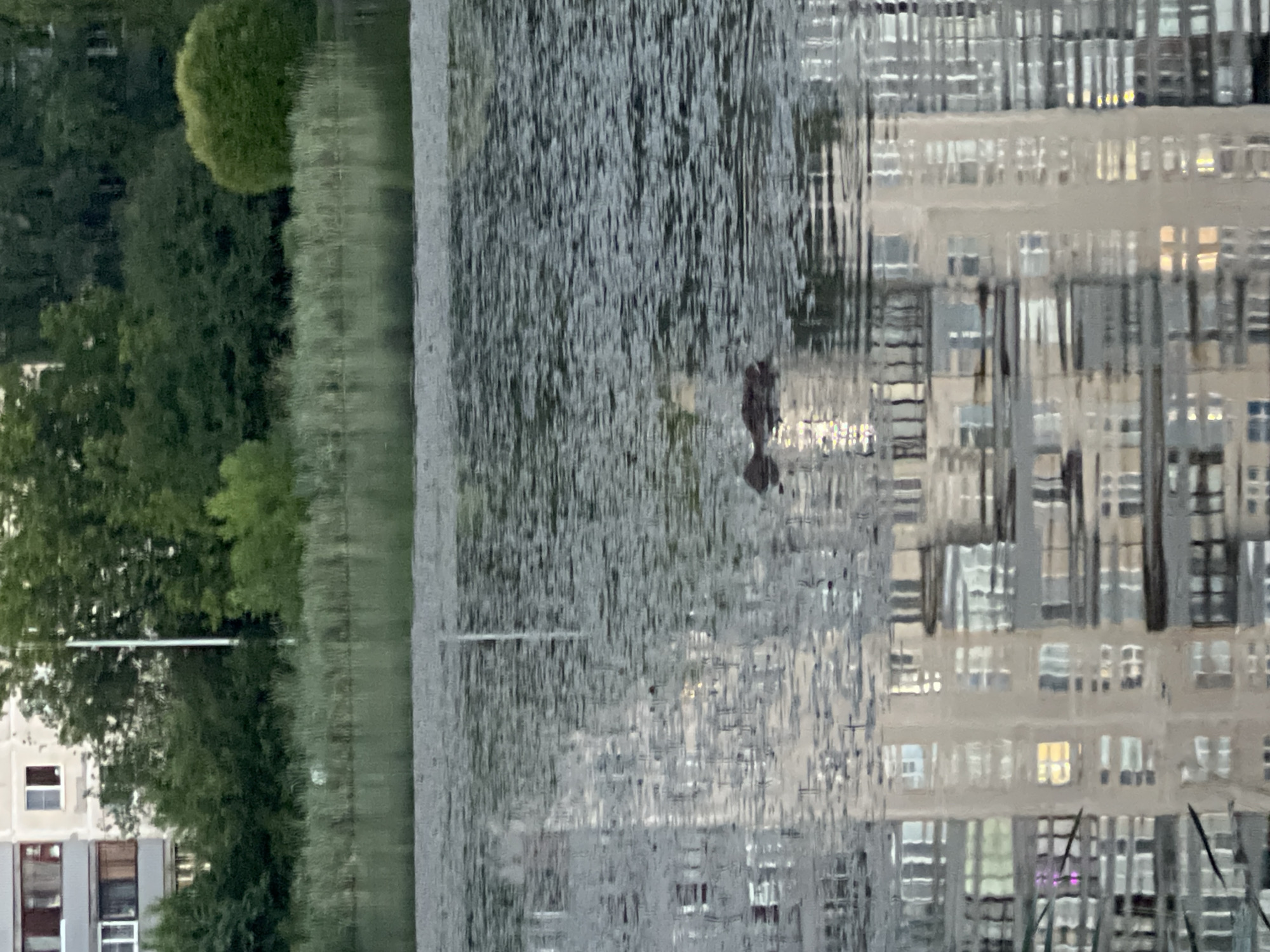 The image shows a body of water with reflections of buildings and trees. In the foreground, a duck is swimming in the water, with only its head and back visible. The water is rippling, distorting the reflections. In the background, there are trees and a multi-story building, suggesting an urban or suburban setting. The lighting suggests it may be late afternoon or early evening. The location is specified as Irinovka, Russia.