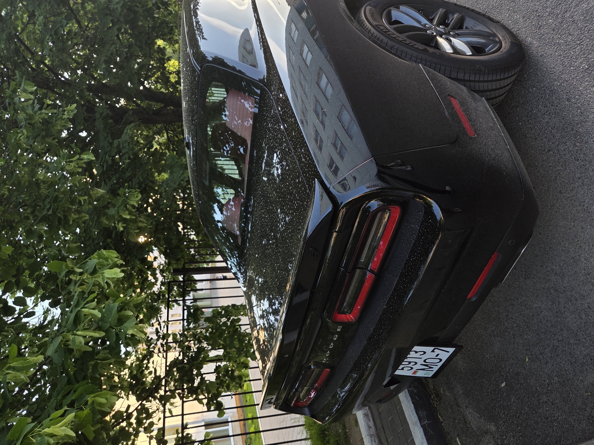 The image shows the rear of a black Dodge Challenger, partially parked on a street in an urban area. The car has a license plate that reads "5913 MO-7". The vehicle appears to be parked near a metal fence and green trees. The reflection in the car's surface shows a multi-story building. The city and country are unknown.
