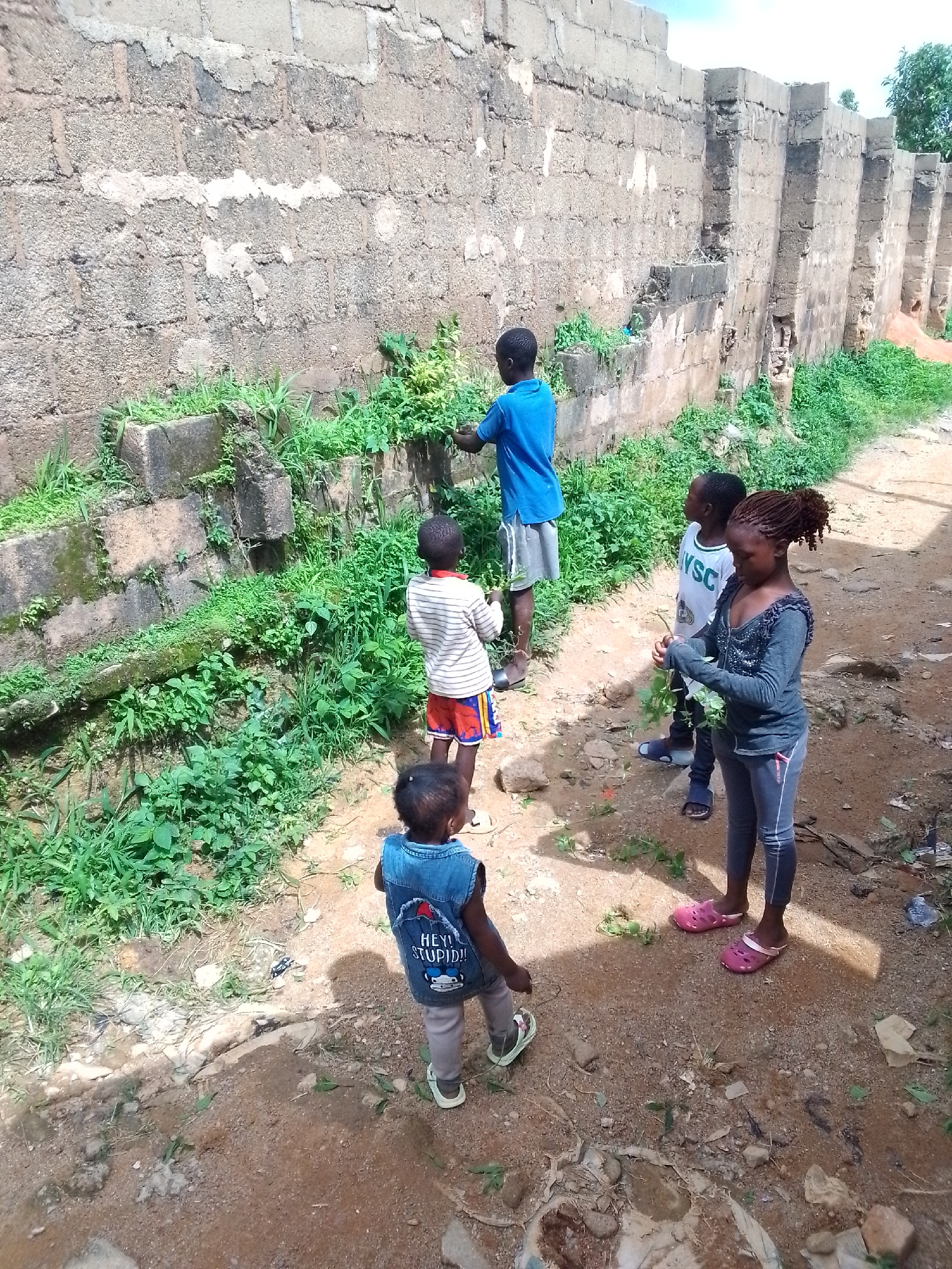 In an outdoor, urban environment, a group of five children are gathered near a tall, weathered brick wall. The wall, constructed from rough-hewn concrete blocks, exhibits signs of age and damage, with sections of missing mortar and vegetation growing through cracks. Lush green plants and weeds sprout abundantly from the ground and along the base of the wall. The ground is composed of dirt and gravel, with scattered stones and debris.
The children appear to be engaged in an activity involving the plants. One boy, wearing a blue t-shirt and grey shorts, stands near the wall, potentially interacting with the vegetation. Another boy, in a striped t-shirt and colorful shorts, faces away from the camera. A third child, in a white t-shirt with lettering and dark pants, stands to the right, also looking towards the wall. A young girl in a grey, sparkly top and grey leggings is in the foreground, holding some green sprigs in her hands. The youngest child, facing away from the camera, wears a denim vest with a graphic design and grey pants. The overall impression is a scene of children exploring and interacting with their environment in a somewhat neglected urban setting.