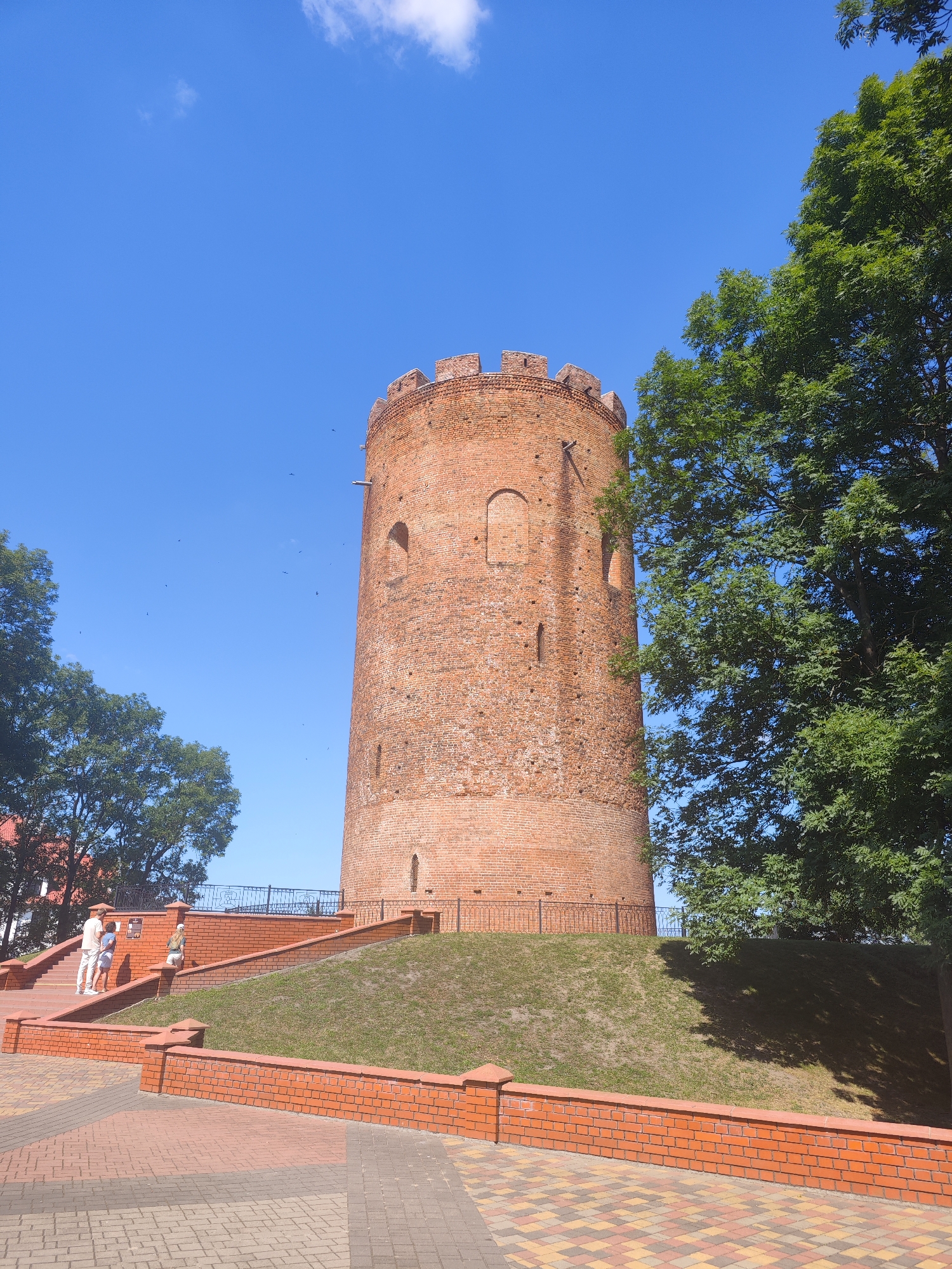 The image shows the Kamyanyets Tower, also known as the White Tower, in Kamyanyets, Belarus, on a clear, sunny day. The cylindrical brick tower, dating back to the 13th century, is the central focus of the image, standing prominently on a grassy mound. The tower has crenellated battlements and several arched windows of varying sizes. To the right of the tower, a large, leafy green tree provides shade. In the foreground, a paved walkway made of multi-colored interlocking bricks leads towards a red brick wall. To the left of the tower, a set of red brick stairs ascend the mound, with a black metal railing. Three individuals are visible on the stairs: two adults in light-colored clothing standing at the top, and a third person further down. The sky is a vibrant blue with a few wispy white clouds. Small black birds are scattered across the sky.
