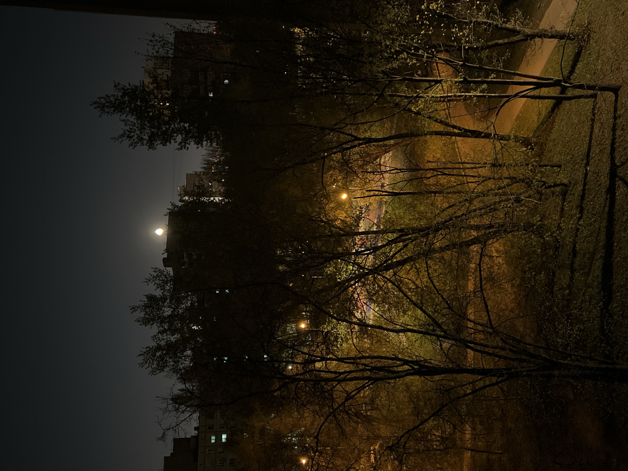 A night scene shows a view from an elevated position, possibly a balcony or window, overlooking a park area in what is identified as Khimki, Russia. The moon is visible in the upper left of the frame. The image is largely dark, with light provided by the moon and street lamps illuminating the park. Bare tree branches are in the foreground, obscuring some of the park features. A path winds through the park, lit by street lamps. In the background, the silhouettes of apartment buildings rise against the night sky. A few windows in the buildings are lit. The overall scene is quiet and still, with no people visible.