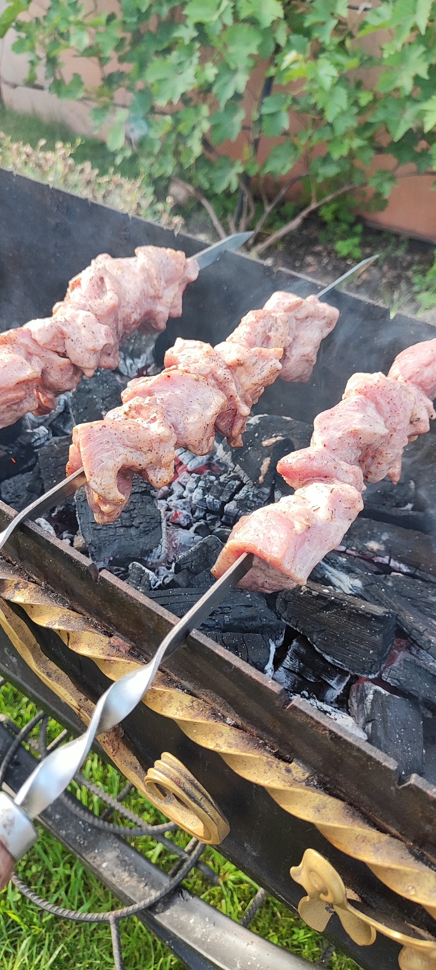 The image shows raw meat skewers being grilled over hot coals in a dark metal brazier. Three skewers are visible, each with several pieces of seasoned meat threaded onto it. The meat appears to be pork, cut into chunks and lightly seasoned with spices. The coals are glowing red and hot, with some smoke rising from the grill. The brazier is set on a surface covered with green grass. In the background, there is lush green foliage and a hint of a building or wall. The overall scene suggests an outdoor barbecue or cooking event. The location of Лёзненскі сельскі Савет, Belarus is a rural area, which aligns with the outdoor setting depicted in the image.