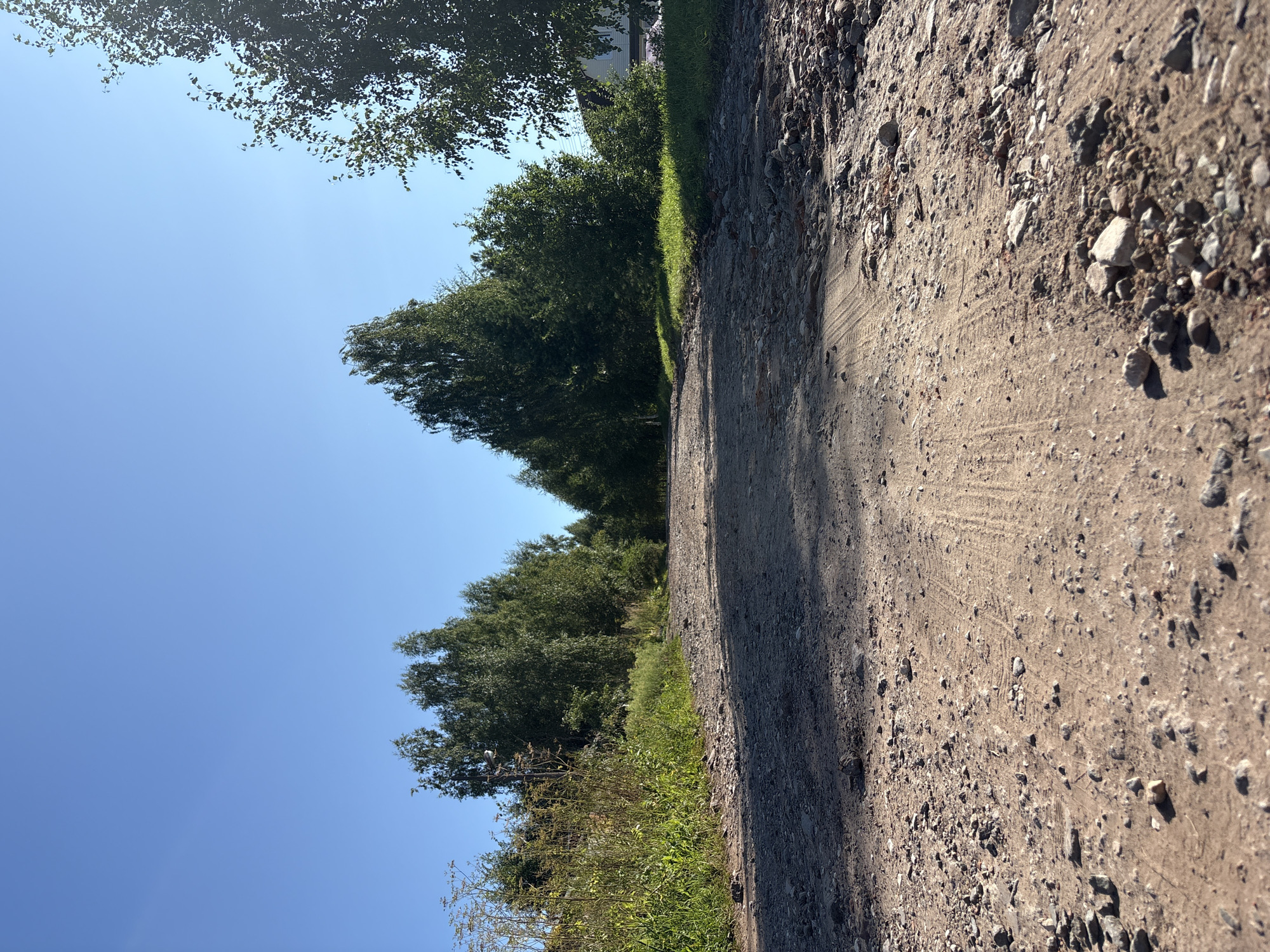 The image depicts a rough, dirt road in the city of Overyata, Russia, on a clear, sunny day. The road is unpaved and covered with gravel and stones, with visible tire tracks indicating recent vehicle activity. Lush green trees line both sides of the road, creating a natural canopy that casts shadows on the ground. The vegetation appears healthy and well-maintained, suggesting a rural or suburban setting within Overyata. The sky is a vibrant blue, with no clouds visible. The overall scene conveys a sense of tranquility and natural beauty, typical of the Russian countryside.