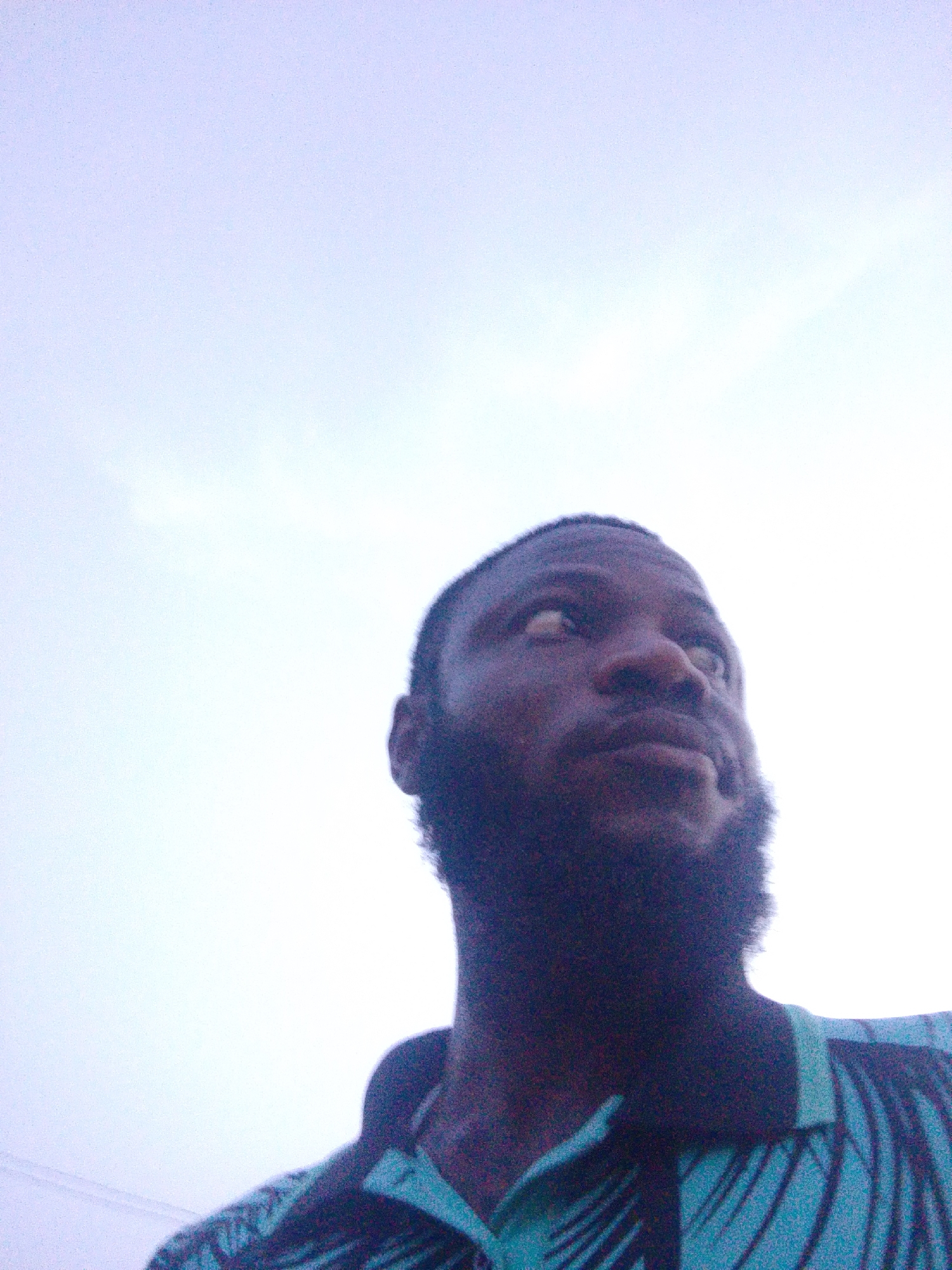 A low-angle shot of a Black man with a full beard. He is looking upwards and to the right of the frame. He is wearing a teal shirt with a dark, swirling pattern. The background is a pale, overcast sky. It is not possible to determine the location as Lokoja, Nigeria, from this image.