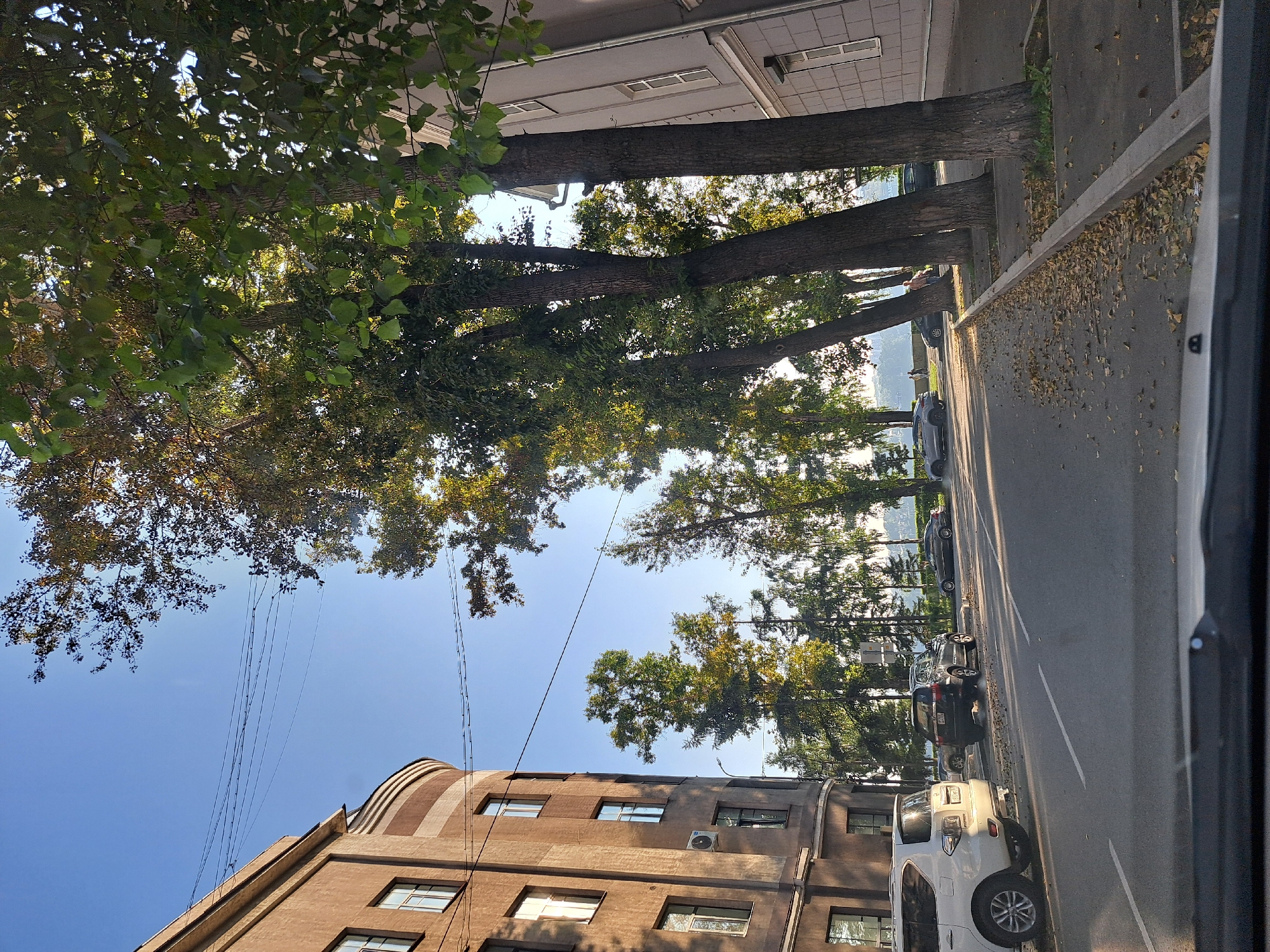 The image captures a street scene in Irkutsk, Russia, on a clear day with blue skies. The perspective is from inside a vehicle, looking forward. On the left side of the street is a multi-story building with a rounded facade, painted a light brown color, featuring multiple windows. To the right of the building, a line of trees with green foliage lines the street. Further down the street, more trees are visible, some showing hints of autumn colors.
Several vehicles are parked along the side of the road and on the street. A white SUV is prominently parked on the left side. A dark-colored SUV is seen further down, with exhaust visible. A dark-colored sedan is also parked on the right side of the street. Scattered fallen leaves are visible on the pavement and along the curb, suggesting it might be autumn.
In the background, more trees and buildings can be seen, with a hint of a body of water or distant landscape. The presence of overhead wires suggests urban infrastructure. There are a few individuals visible walking on the sidewalk in the distance. The overall impression is a typical urban street in Irkutsk during the daytime.