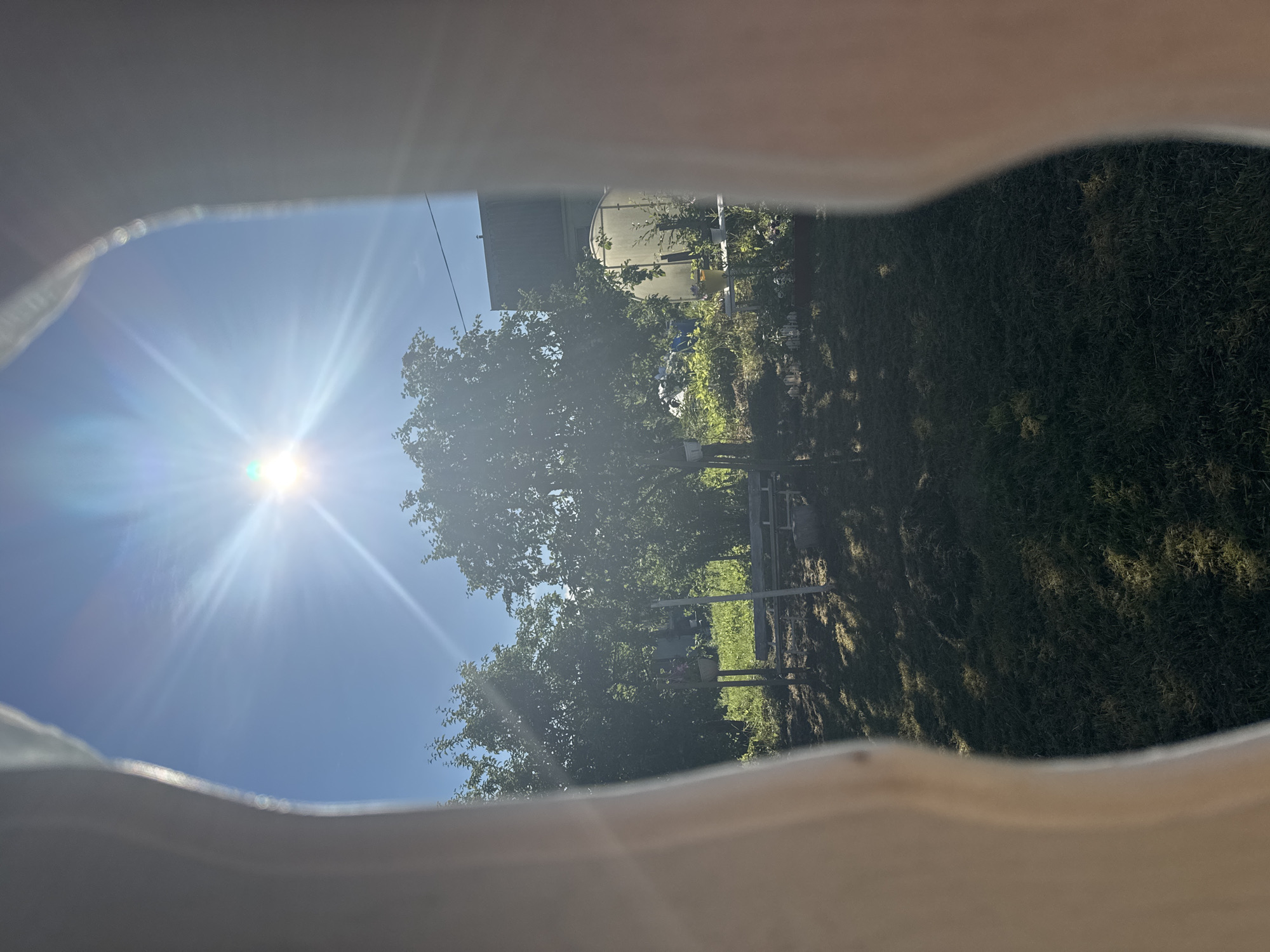 The image shows a sunny outdoor scene, likely a backyard or garden, viewed through a blurry, white foreground element that frames the view. The sun is bright and high in a clear blue sky, creating lens flare and casting shadows. In the mid-ground, there are several leafy trees, a green lawn, and a wooden bench. Further back, a greenhouse structure is visible, along with a building with a dark roof. The environment appears to be a rural or suburban setting, possibly within the city of Kuti, Russia, given the context. There are no people or animals visible in the frame.