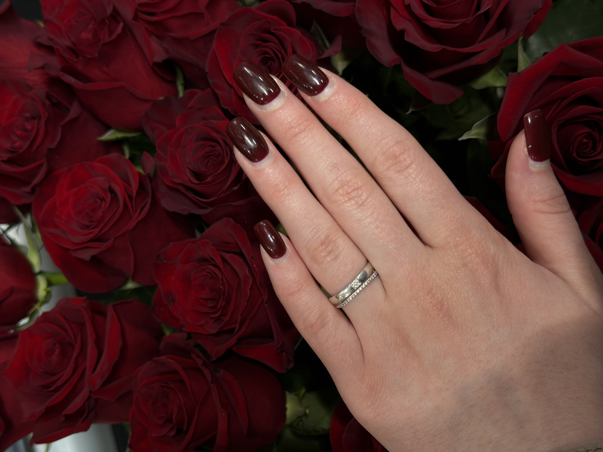 A close-up, high-angle photograph captures a person's hand positioned over a lush bouquet of dark red roses. The hand, with light skin tones, extends from the left-center towards the right, displaying polished fingernails. Each nail is coated with a glossy, deep burgundy or dark red nail polish, suggesting a well-maintained manicure.
Two silver-colored rings are worn on the ring finger. The lower ring appears to be a simple, polished band, while the upper ring features a continuous line of small, sparkling stones, likely diamonds, set into its surface.
The background is densely filled with numerous dark red roses, showcasing their rich, deep color and layered petals. Some roses are in full bloom, revealing their intricate centers, while others are more tightly closed. Subtle hints of green leaves are visible among the rose blossoms, adding a touch of natural contrast. The overall scene evokes a sense of romance and elegance, highlighting the hand and its adornments against the opulent floral backdrop. There is no visible text, and the time of day or specific location cues beyond the roses are not discernible from the image itself.