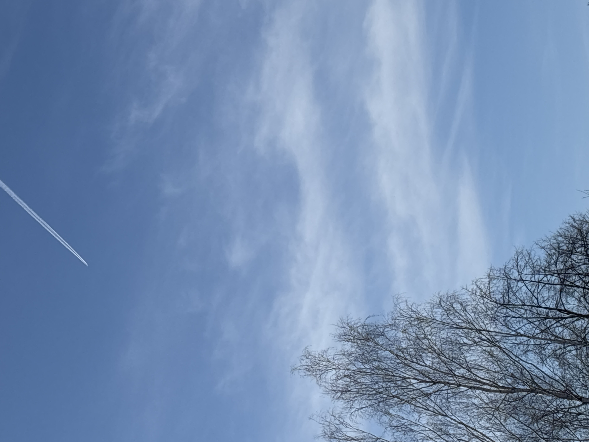 The image shows a blue sky with wispy clouds. A contrail from an airplane is visible on the left side of the image. Bare tree branches are in the lower right corner. The image location is not explicitly known to be Chaikovsky, Russia, and cannot be identified solely from the visual information provided.