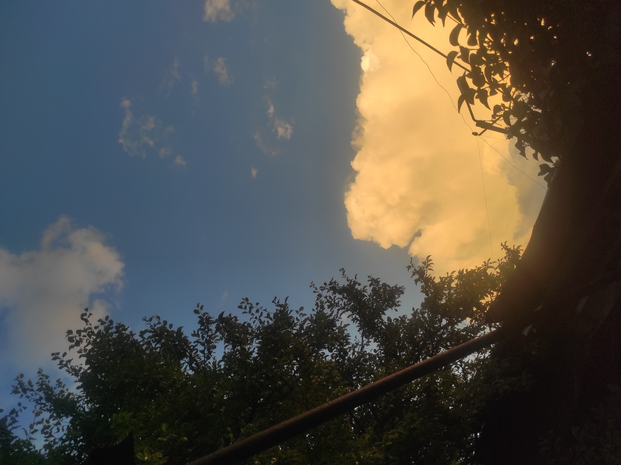 This image depicts a silhouetted view of trees and a roofline against a sky with dramatic clouds. The sky is a deep blue, transitioning to a vibrant golden-orange hue where it meets the clouds. Several fluffy white clouds are scattered across the sky, with one large cloud in the lower right quadrant illuminated by a warm light. A dark, slender pole runs diagonally from the upper left towards the center of the frame, partially obscured by dense foliage from a tree on the left. The tree on the left is dark and appears to have many leaves. In the lower right, the silhouette of another tree with visible leaves and branches is present, along with a pole supporting what appears to be electrical wires. The foreground is dominated by the dark silhouettes of a roof and vegetation. The scene suggests an outdoor setting during either sunrise or sunset, casting a warm glow on the clouds. No people or specific urban features are clearly identifiable, but the presence of utility poles and wires hints at a populated area. The location is specified as the border of Gyumri-Akhuryan, Armenia.