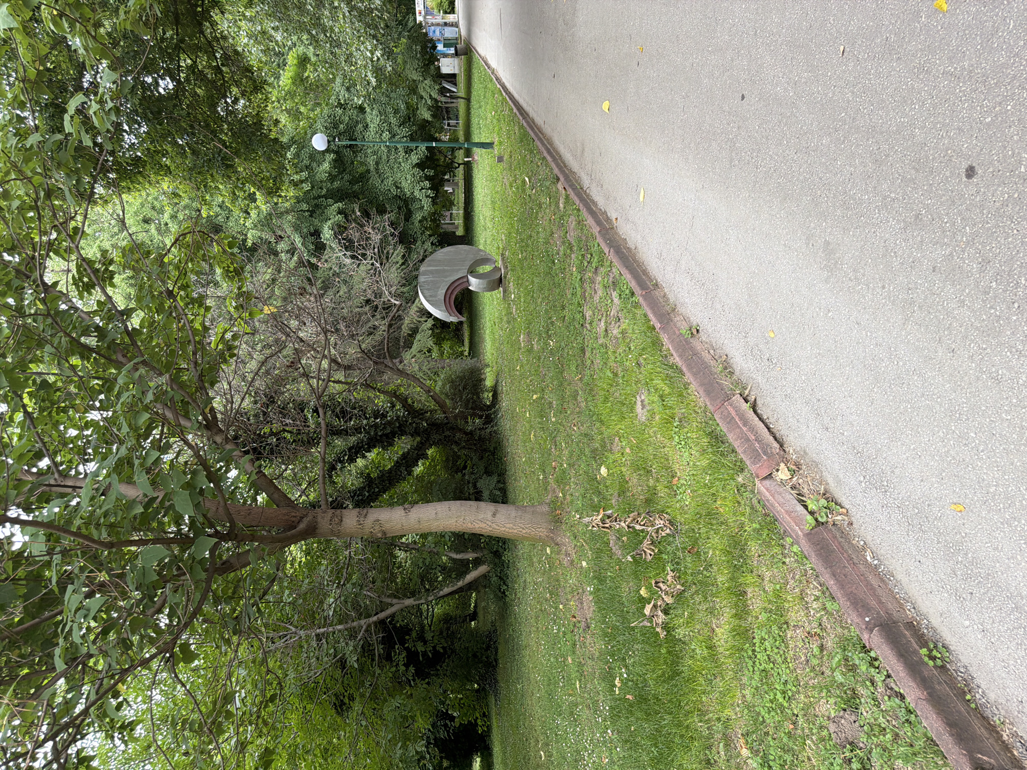 This image depicts an outdoor scene in the city of Pazardzhik, Bulgaria, likely in a park or public garden. In the foreground, a paved walkway runs diagonally from the bottom right to the middle of the frame. The walkway is bordered on the left by a weathered red brick curb, which separates it from a grassy area. The grass is short and appears well-maintained, with scattered small white wildflowers and some dried brown vegetation.
To the left of the walkway and grass, a prominent abstract sculpture is visible. It is a metallic, curved structure with a crescent-like shape and a smaller circular element at its base, made of what appears to be brushed aluminum or stainless steel. Behind the sculpture and the grassy area, a variety of trees and dense foliage create a lush green backdrop. The trees have full canopies, suggesting a temperate climate and possibly summer or late spring.
Further back, a green lamppost with a white spherical light fixture stands on the right side of the grassy area, near the walkway. In the background, beyond the trees, hints of buildings and possibly more park infrastructure are visible. The overall atmosphere is serene and natural. There are no people or animals depicted in the image. The lighting suggests it is daytime, with soft, diffused light, indicating an overcast or slightly cloudy sky.